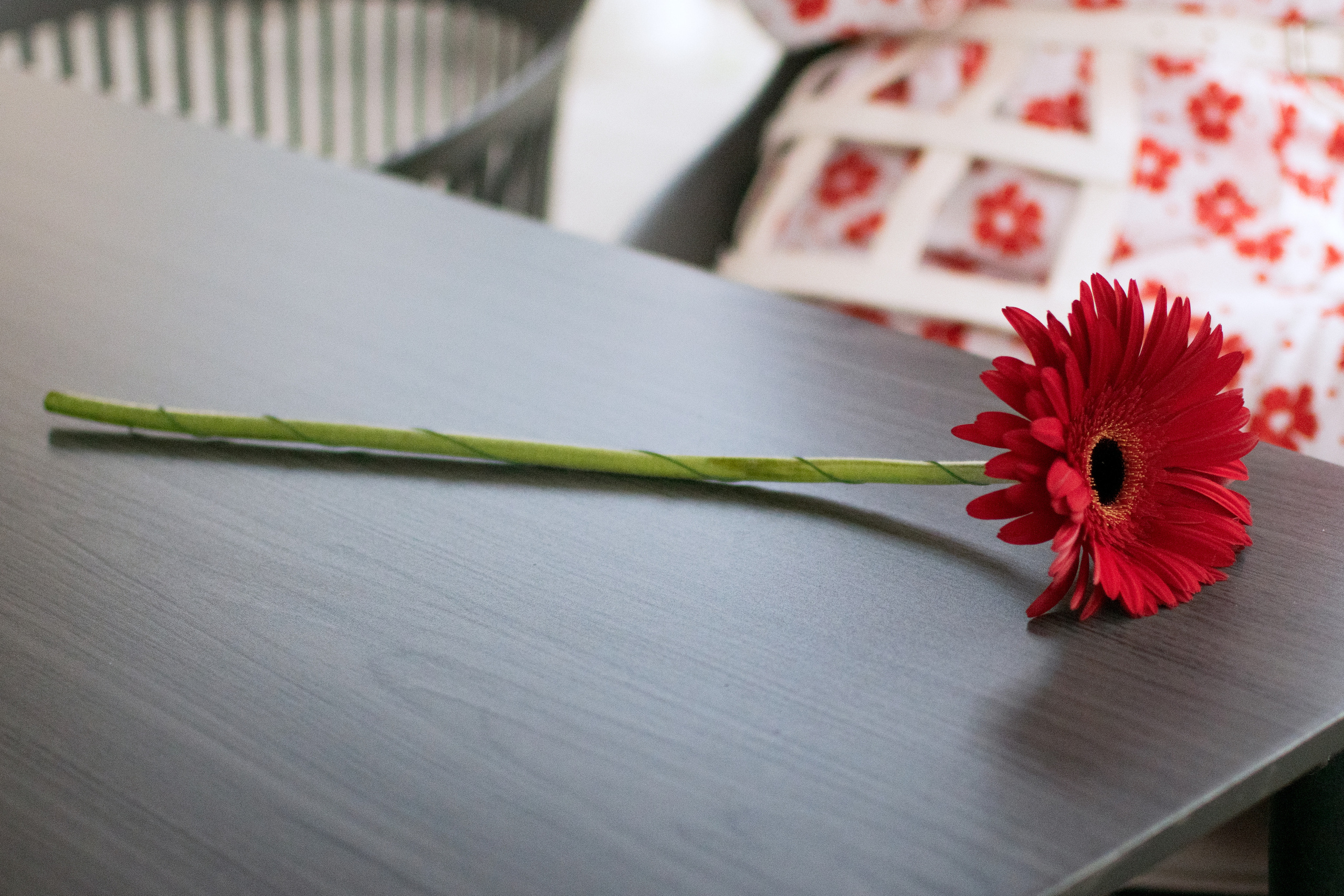 Женский портрет. Саенко Людмила Фотограф из Тулы