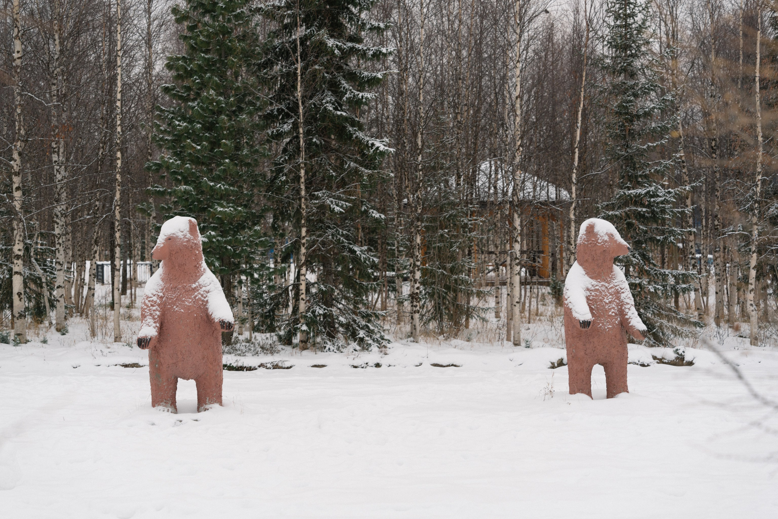 Уренгой, Октябрь 2024