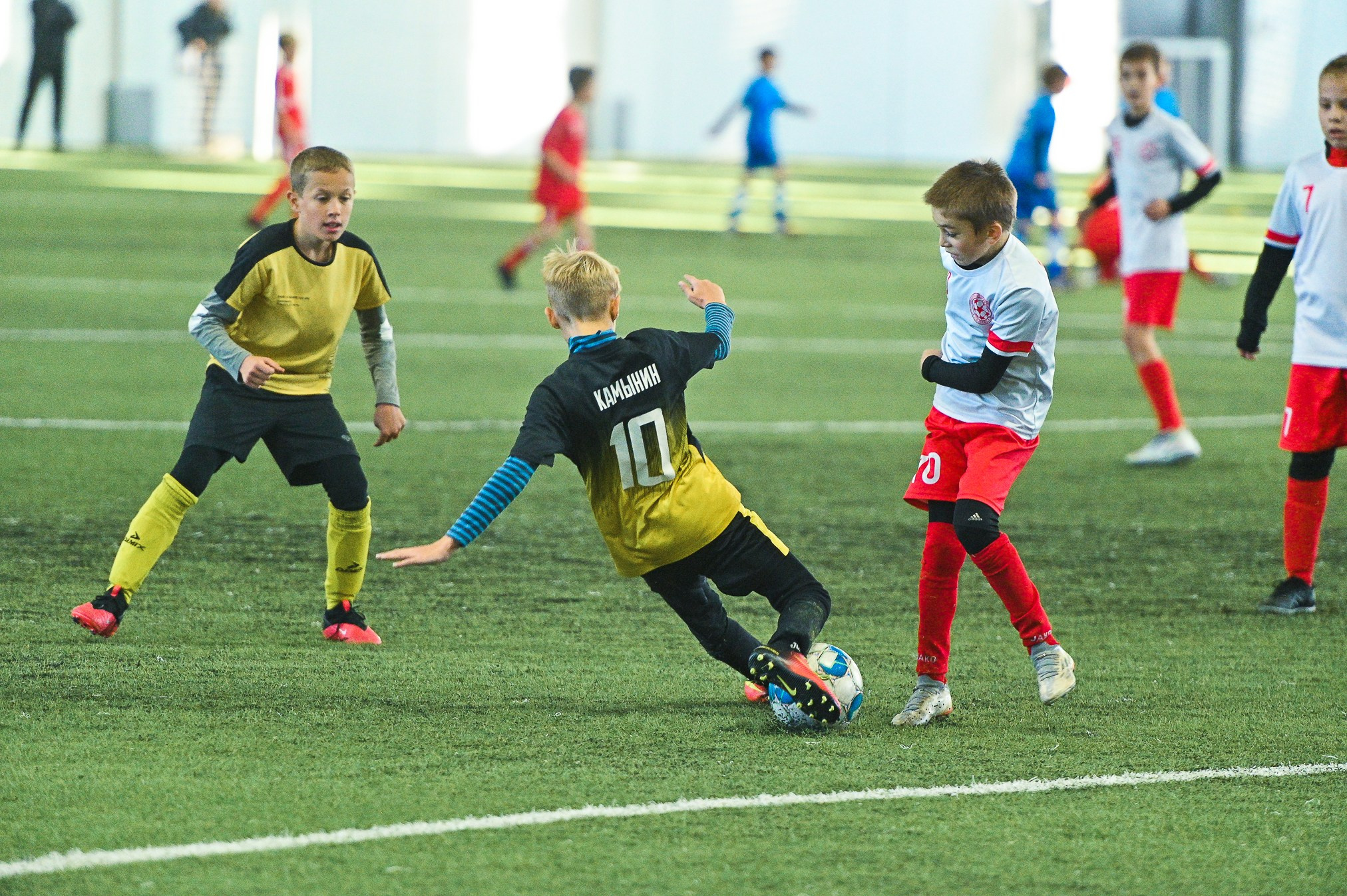 Металлург-Бердск. ProfotoNK