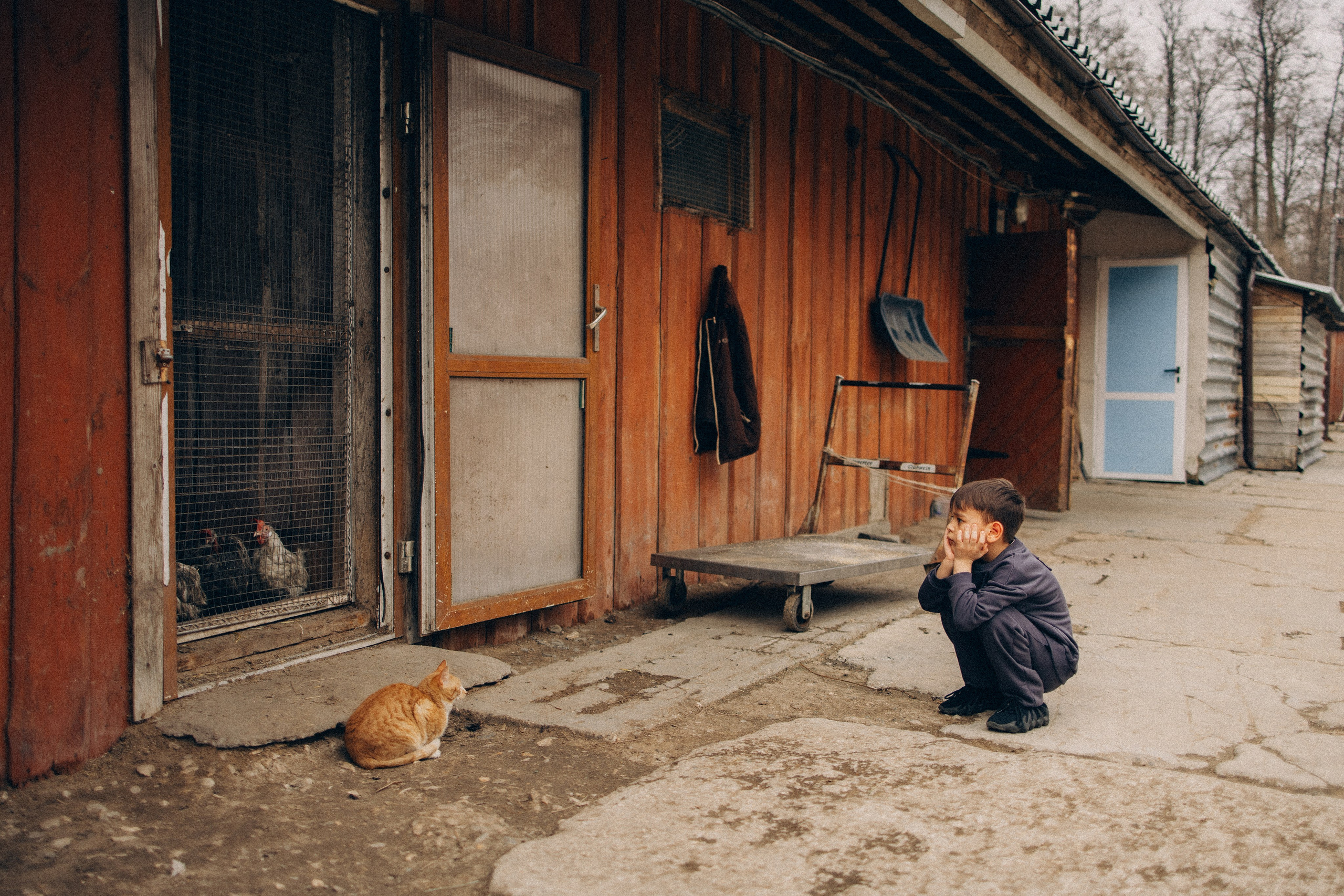 Руслан и Тимур 2. Семейный фотограф Москва