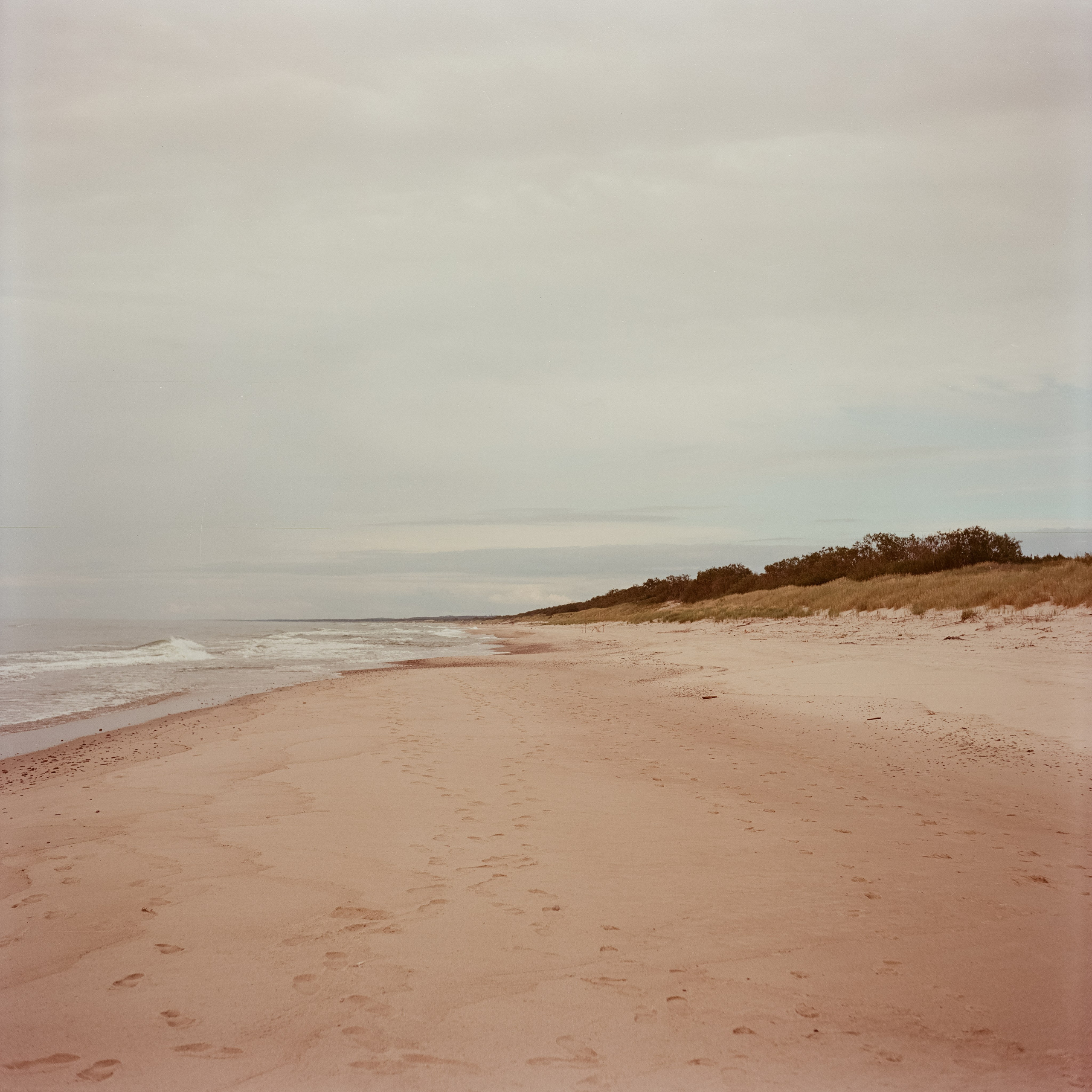 Куршская коса / Super Fujica-6 / Kodak Aeronega 100 (Kodak Aerocolor IV)