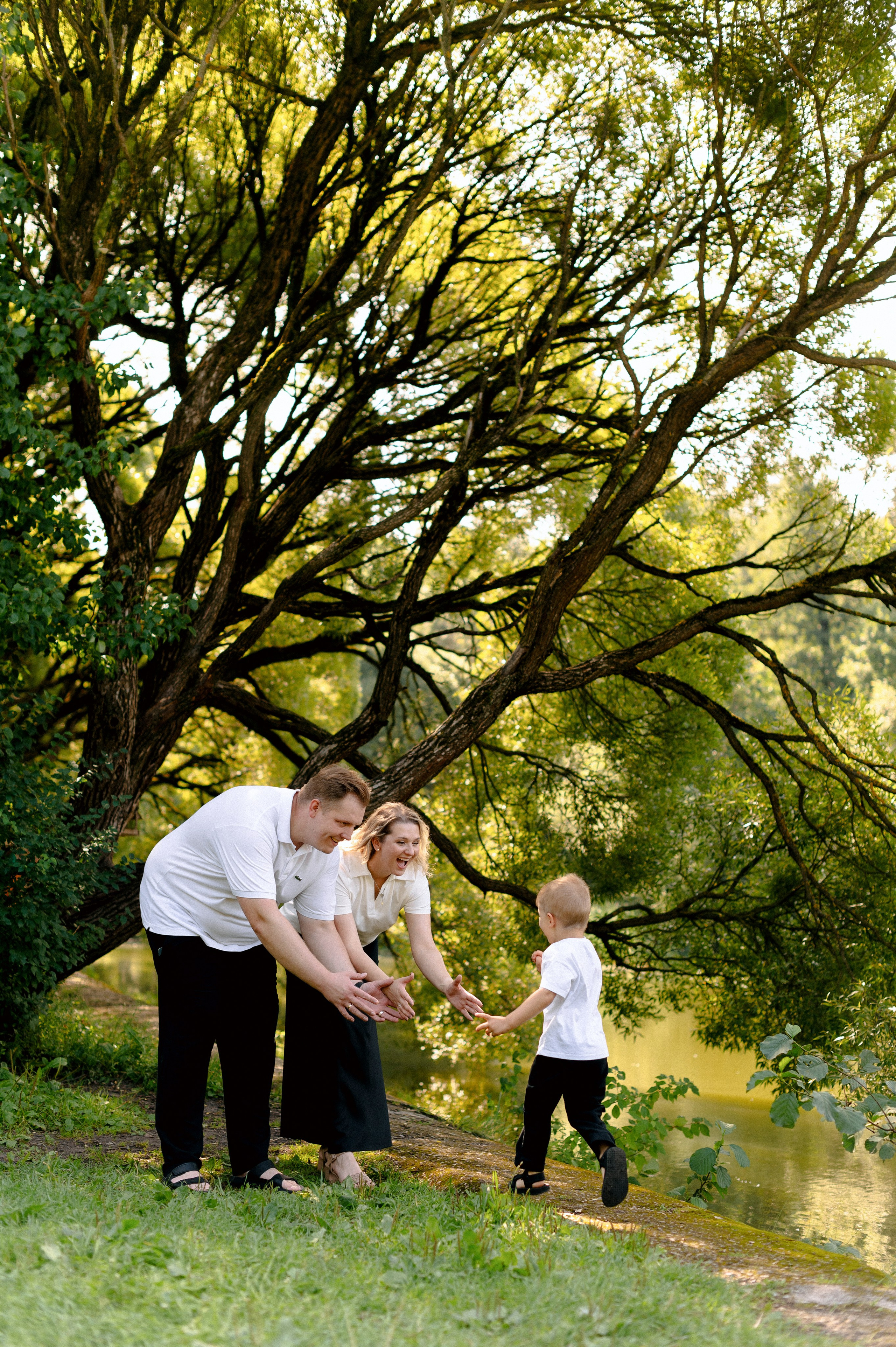 НА ДЕРЕВО ЗАЛЕЗУ. Шашкова Вероника / Свадебный и семейный фотограф Москва и Ярославль