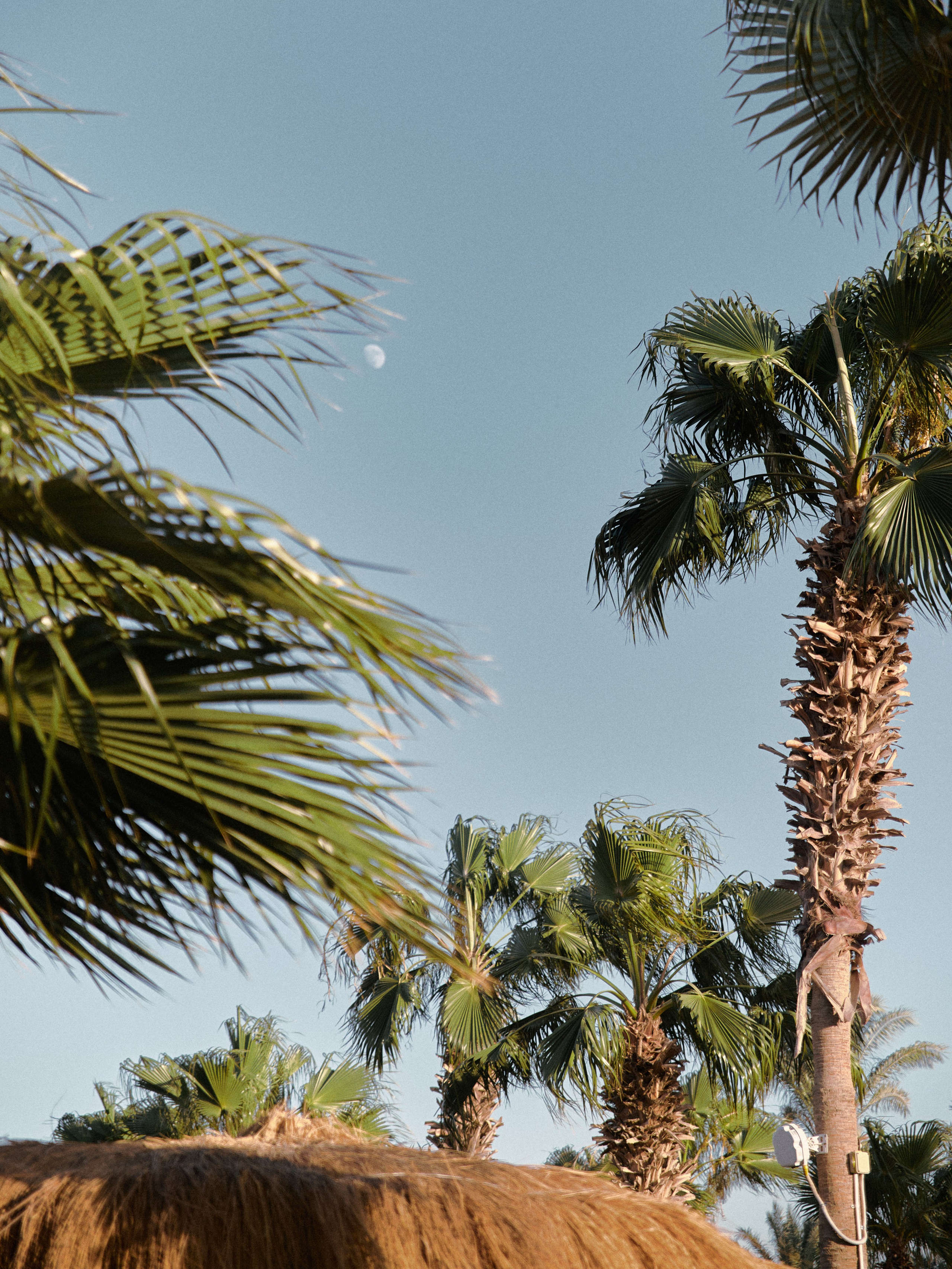 Диптих. Jorgis — фотограф в Хургаде / обучение фотографии