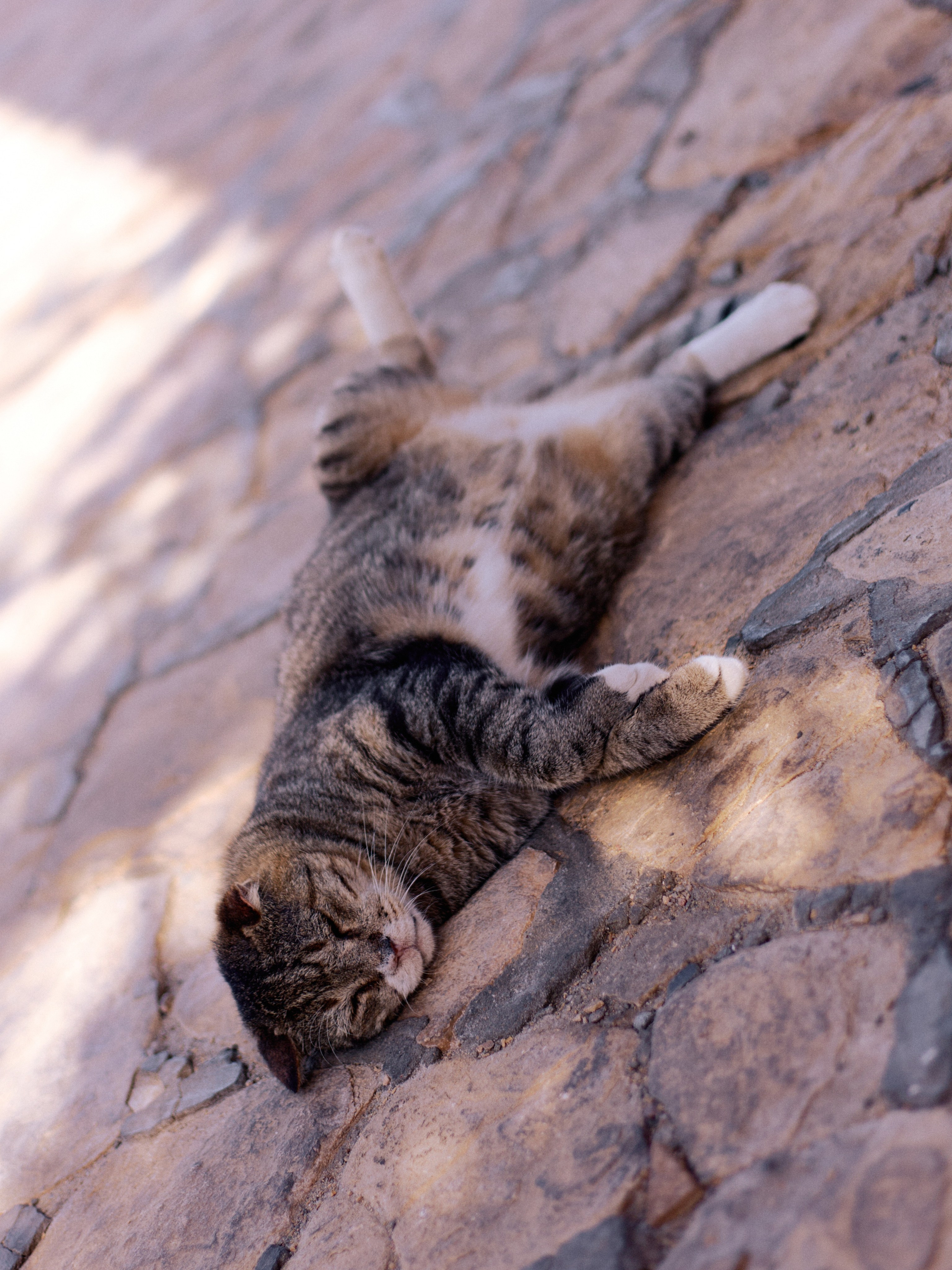 Другое 3. Jorgis Talè — photographer, kind person, teacher of arts and other mag