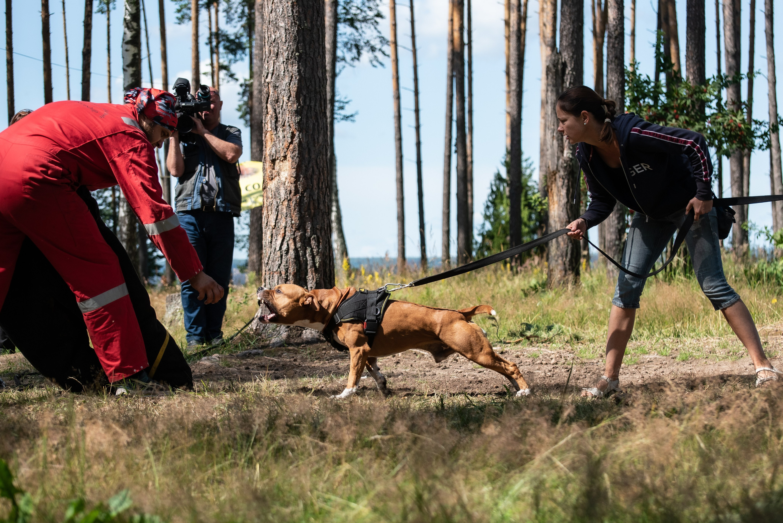 Всплеск эмоций 2023 Кинологический фестиваль. Фотограф Макс Огурцов в Нижнем Новгороде