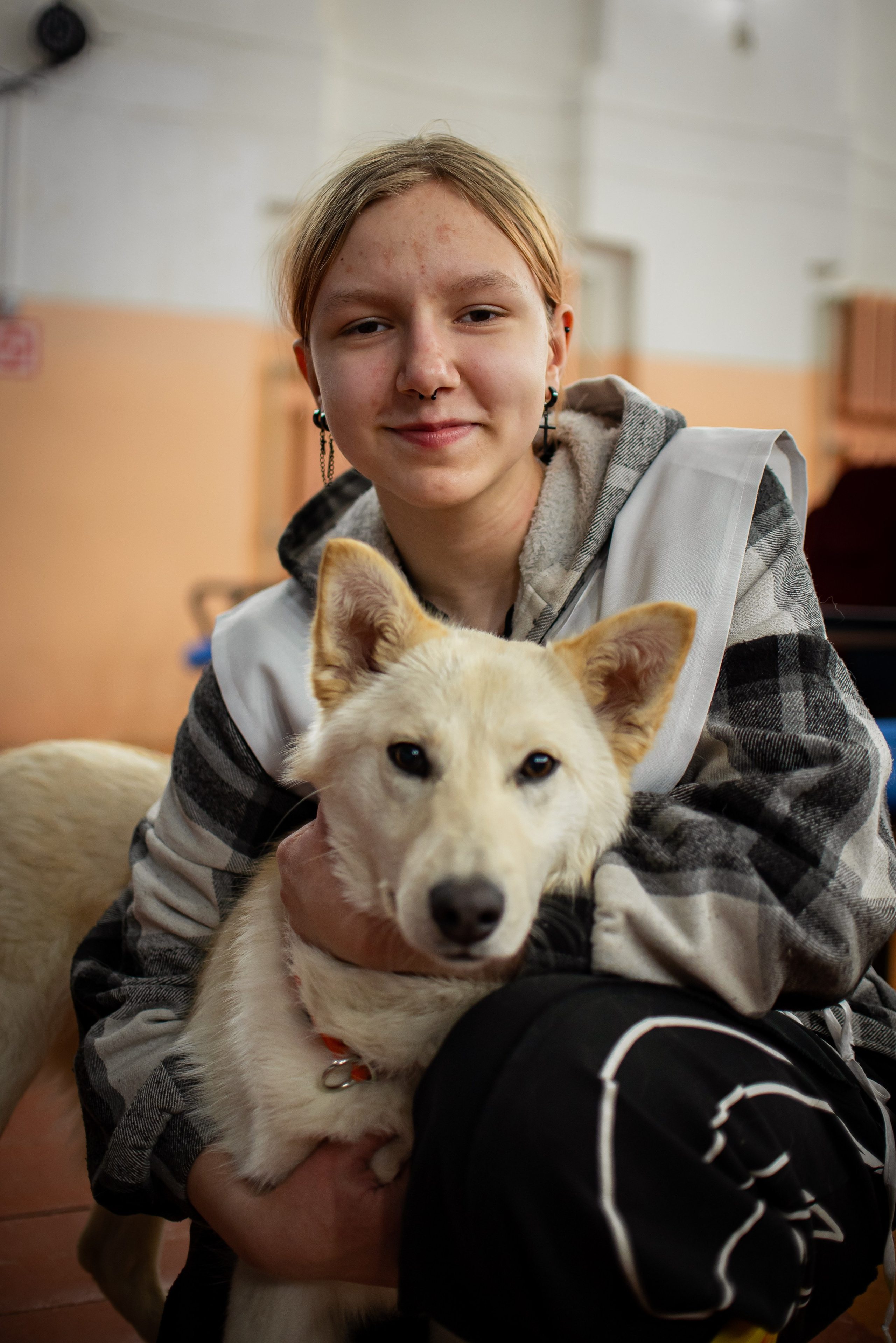 Фотосъёмка с собаками в Кинологическом лагере. Фотограф Макс Огурцов в Нижнем Новгороде