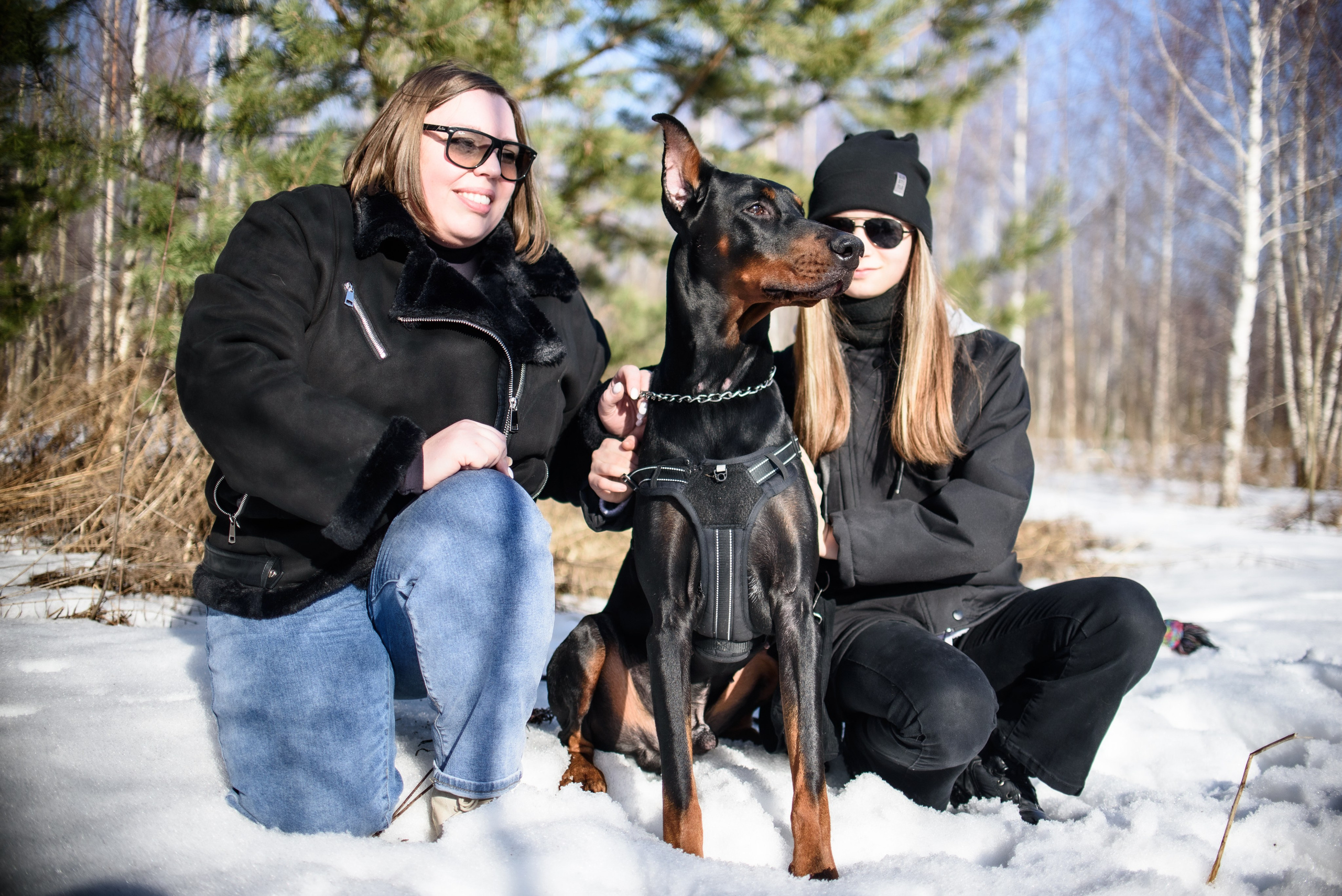 Фотосессию с любимым доберманом. Фотограф Макс Огурцов в Нижнем Новгороде