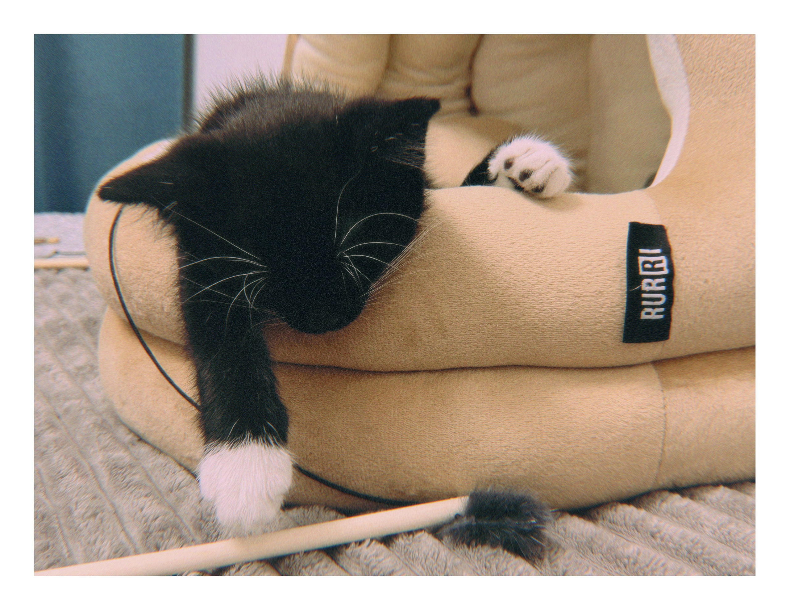 Визуальный дневник. Портретный фотограф в Москве Гахраманова Екатерина