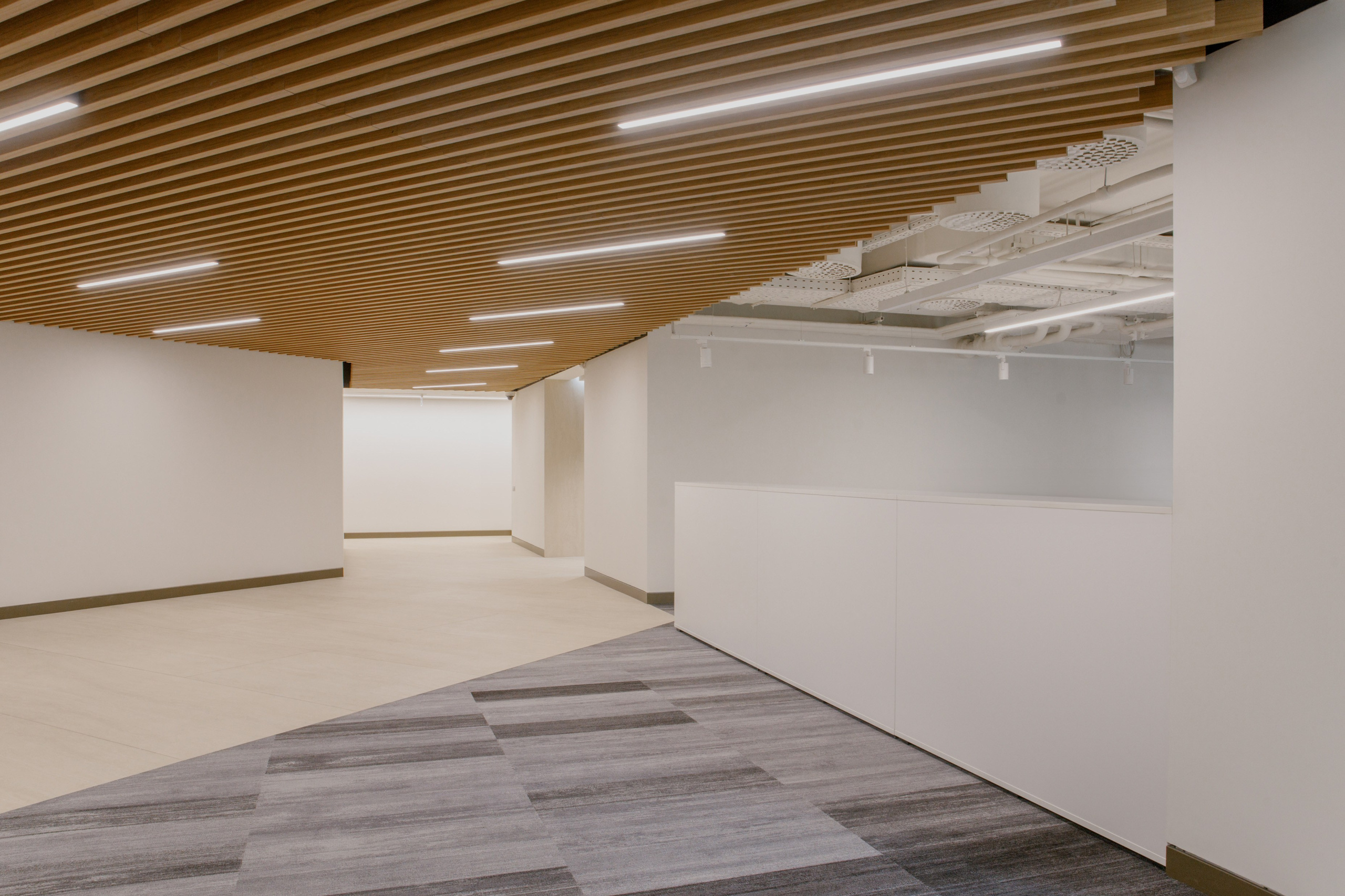 ЛЛК — Интернешнл. Фотограф Сергей Склемин