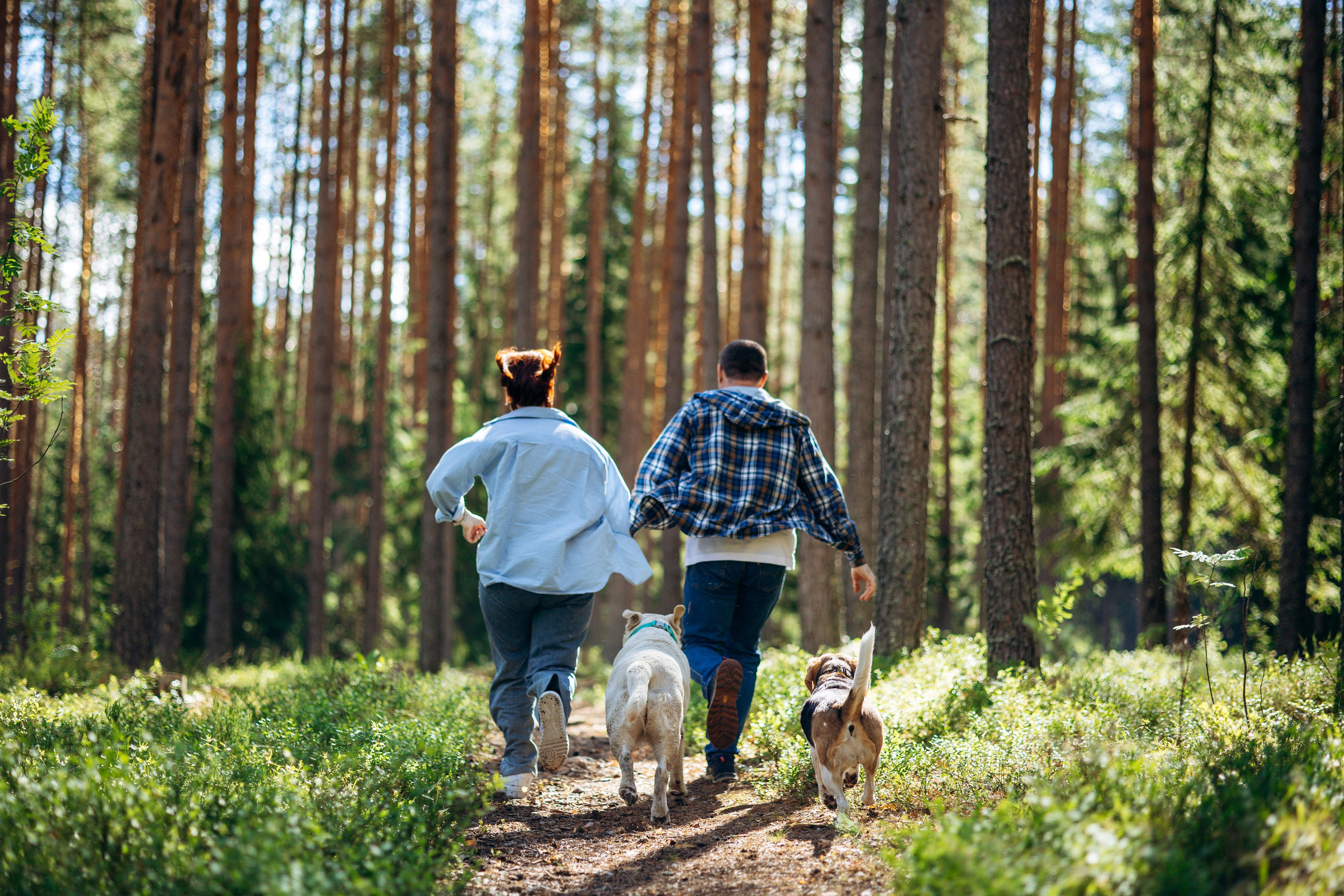 Котофеи и их семья. Фотограф — Анималист | Санкт-Петербург