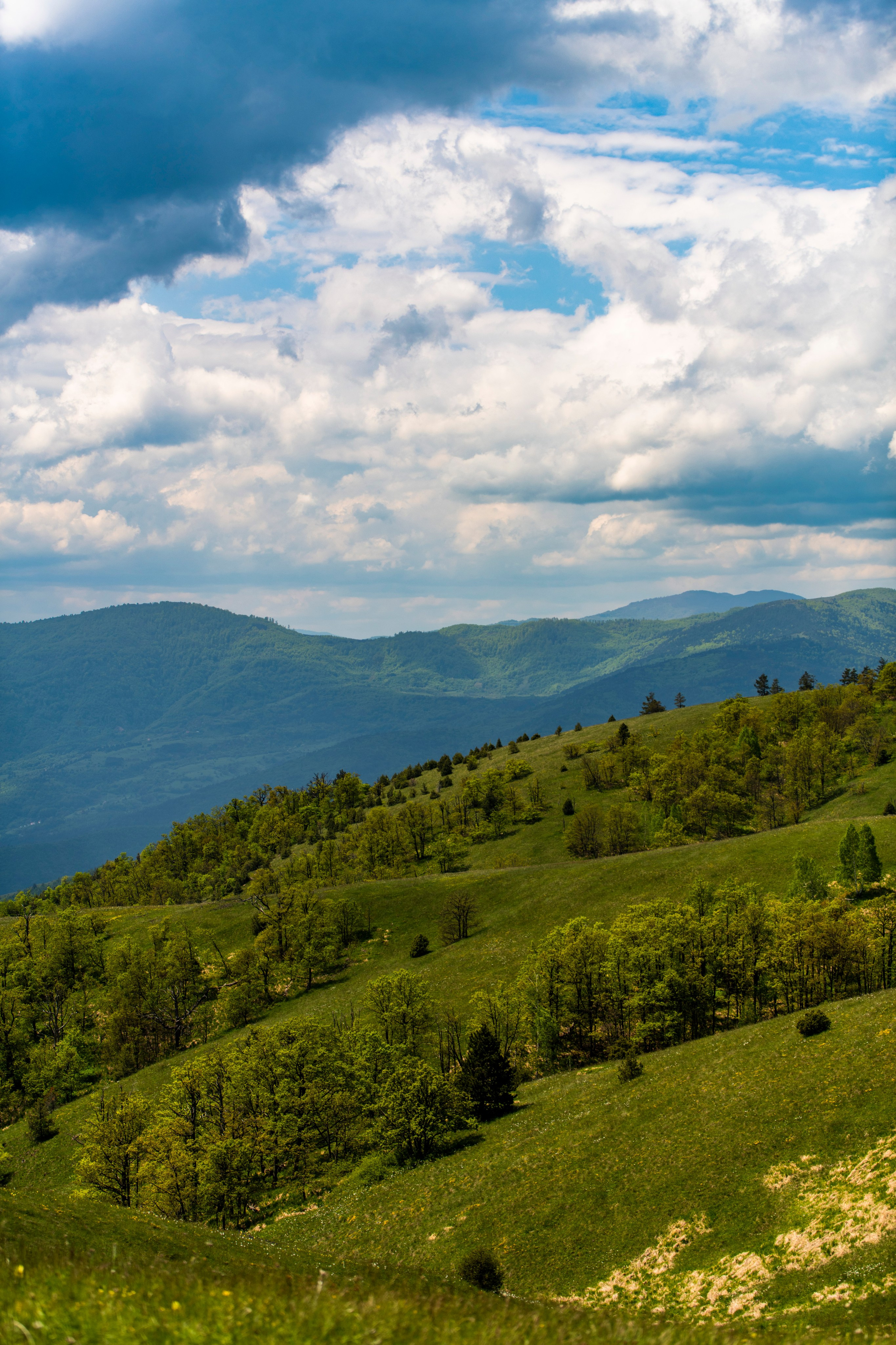 Столови. Сербия. Фотограф в Москве. Шахабудин