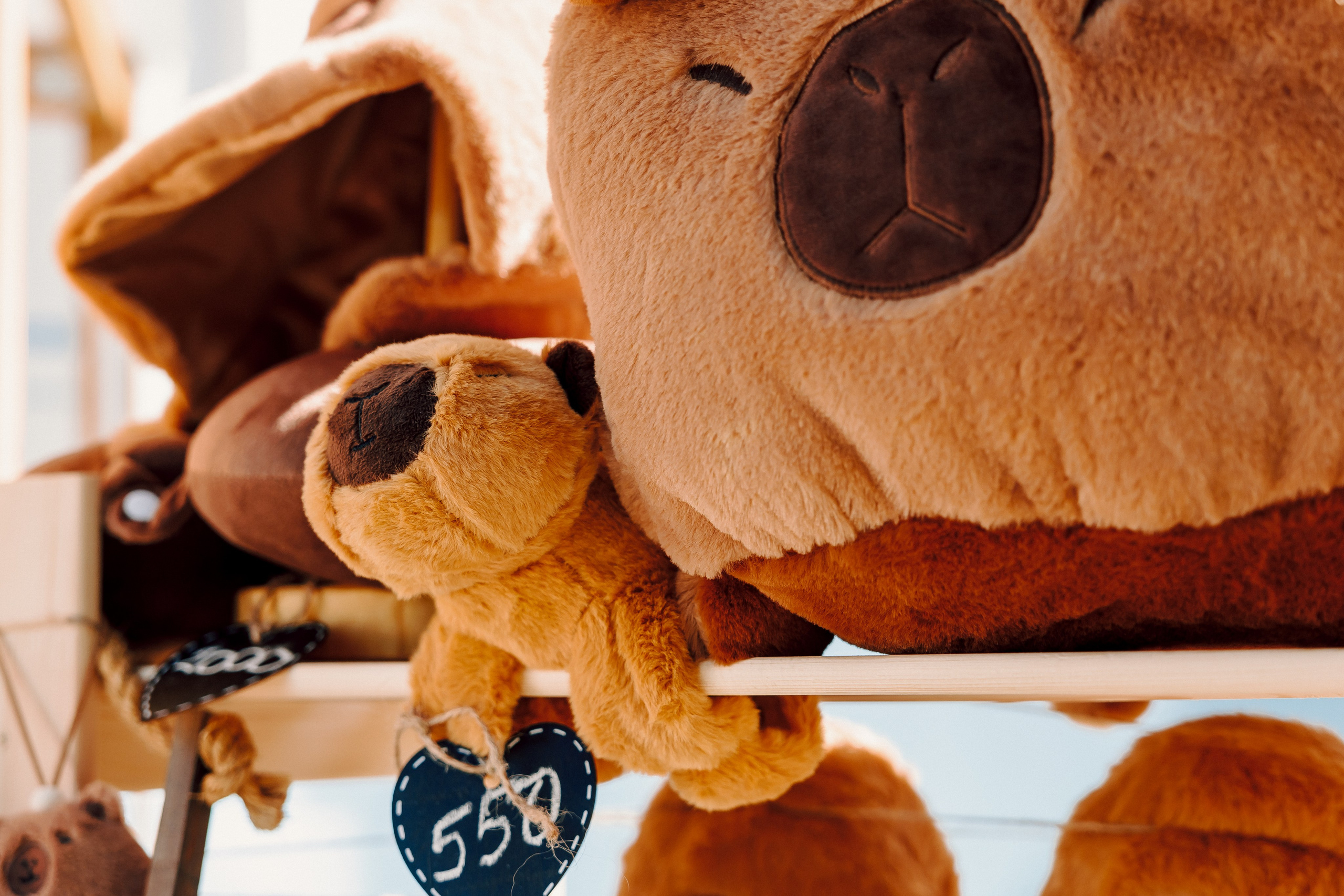 E1 Sup Fest 2024. Лёшка Варзегов — фотограф