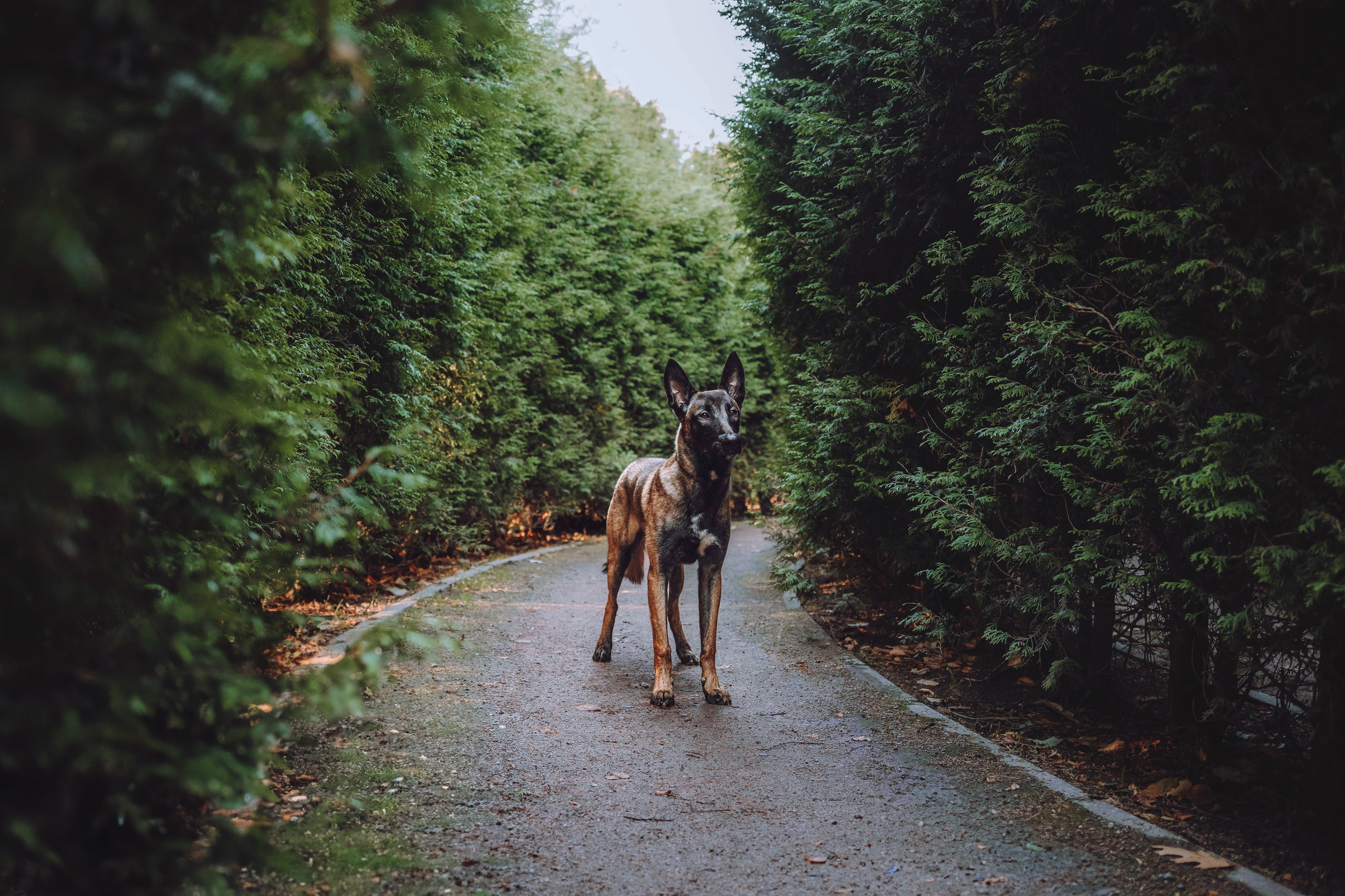 Никита и Ярик