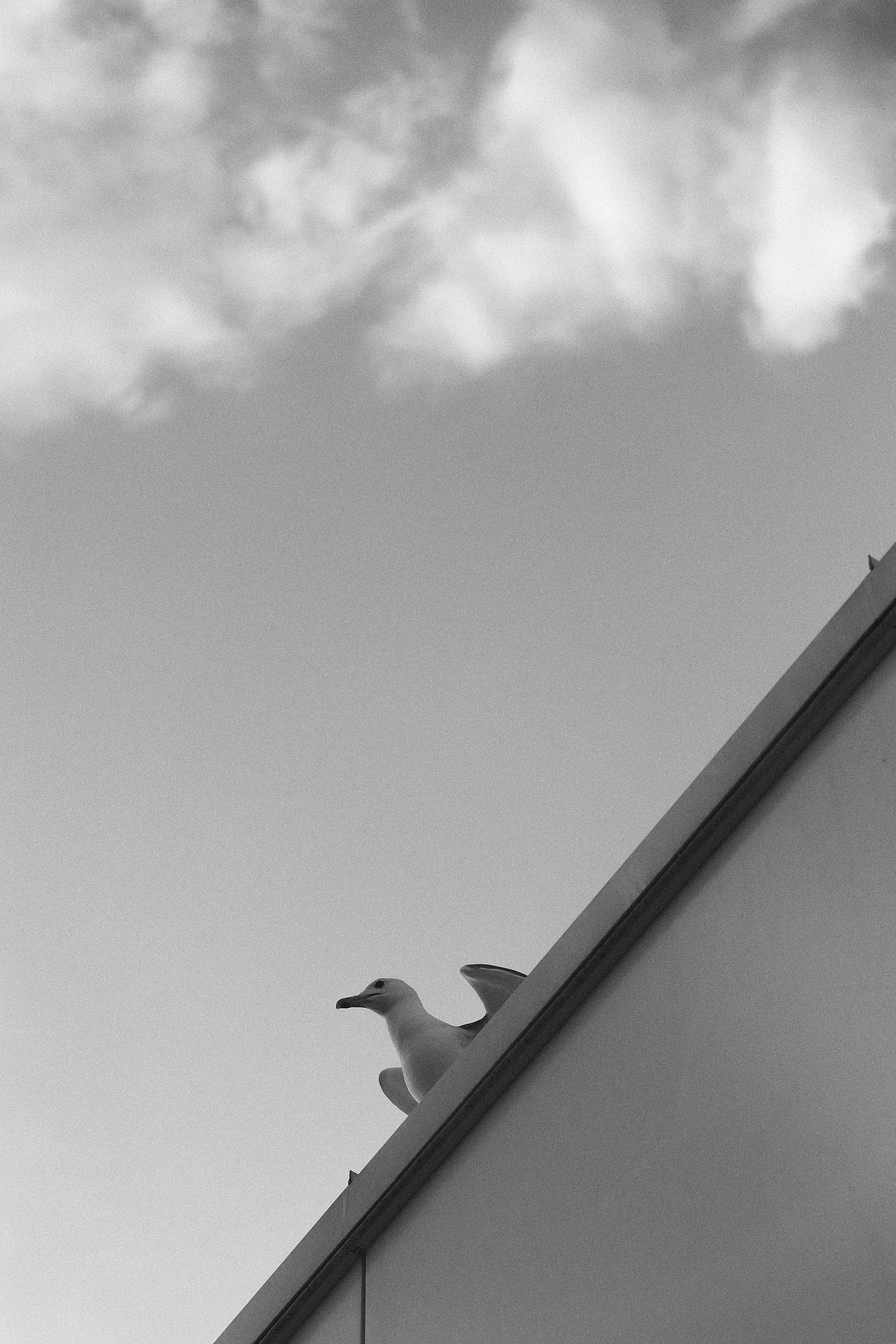 Maria & Dima. Свадебный фотограф в Севастополе и Крыму| Tanya Sher