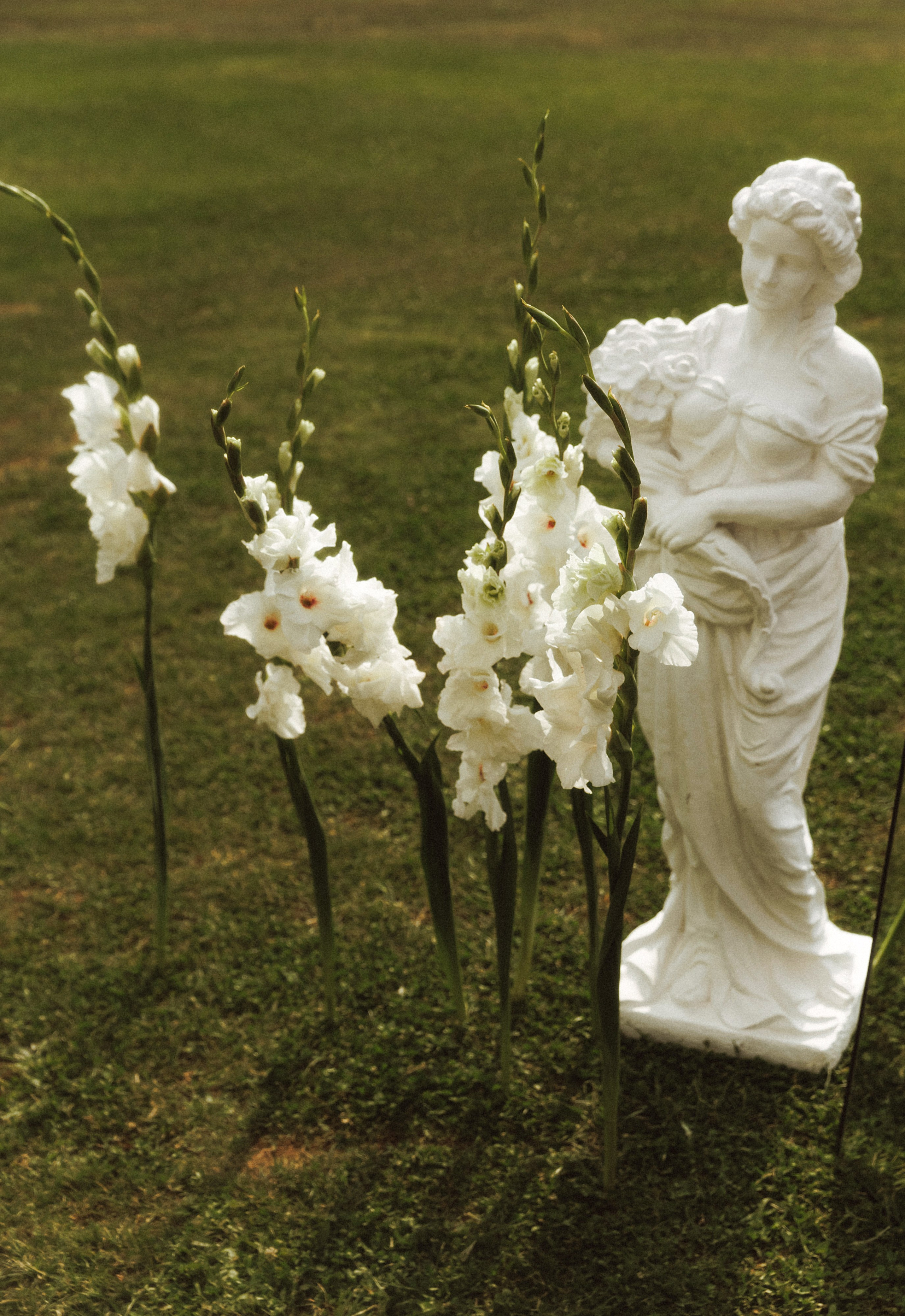 Vlad & Yulia. Свадебный фотограф в Севастополе и Крыму| Tanya Sher