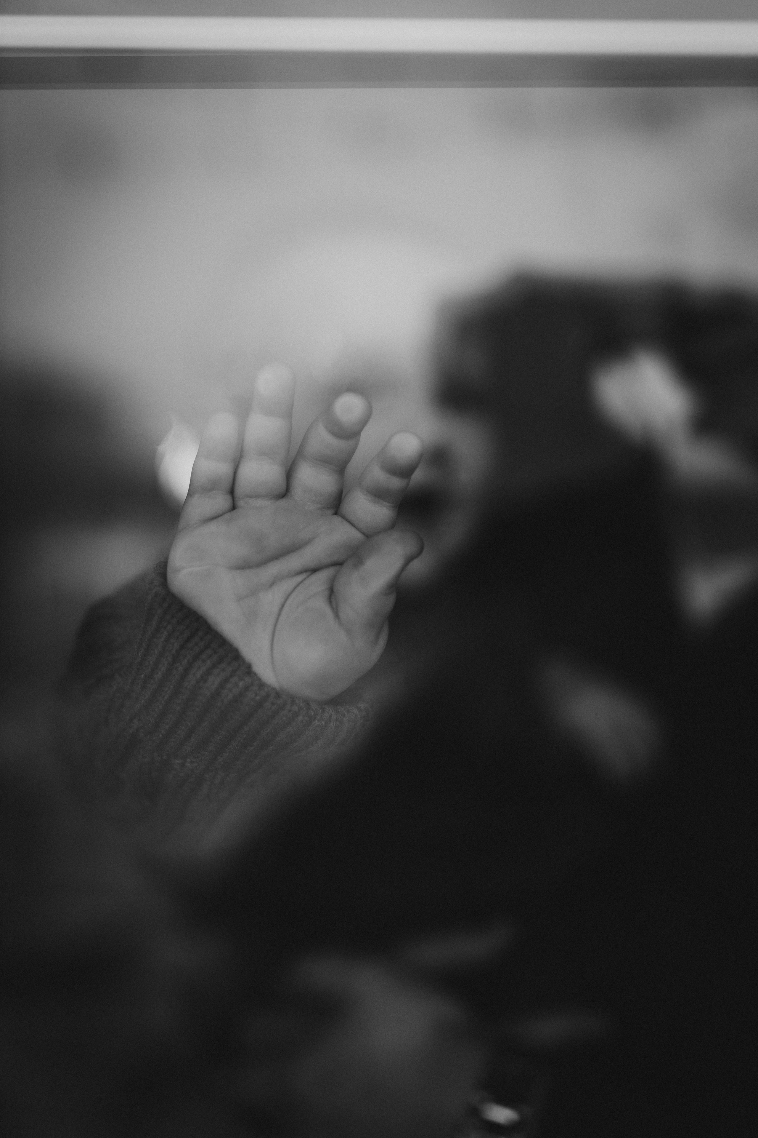 Юля, Даниил и Глебушка. Семейный фотограф и фотограф на роды в Ростове-на-Дону Мухина Виктория