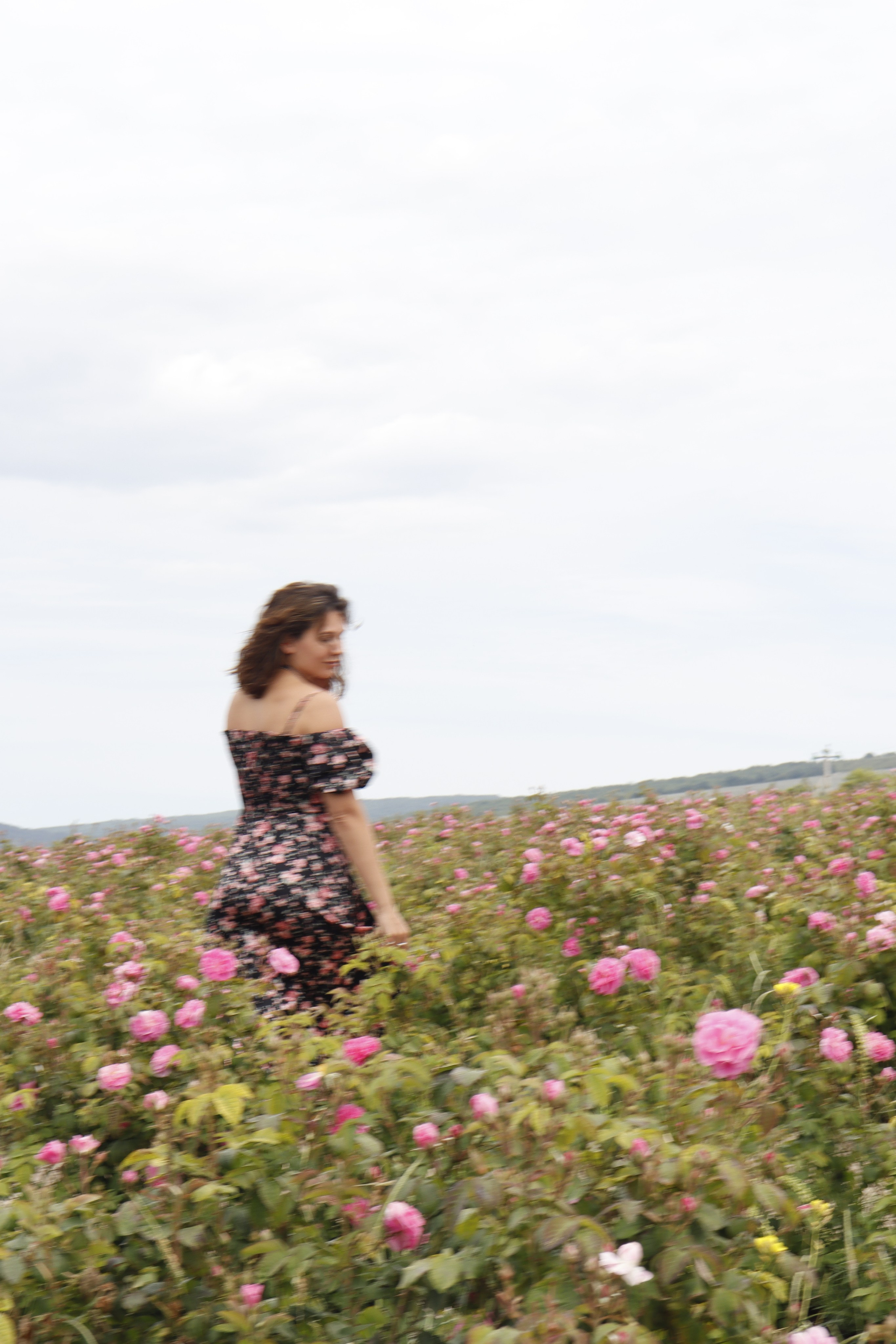 Юлия — daisies and roses '05'24. Фотограф в Пятигорске и Севастополе — индивидуальные и семейные фотосессии | Si_Ola