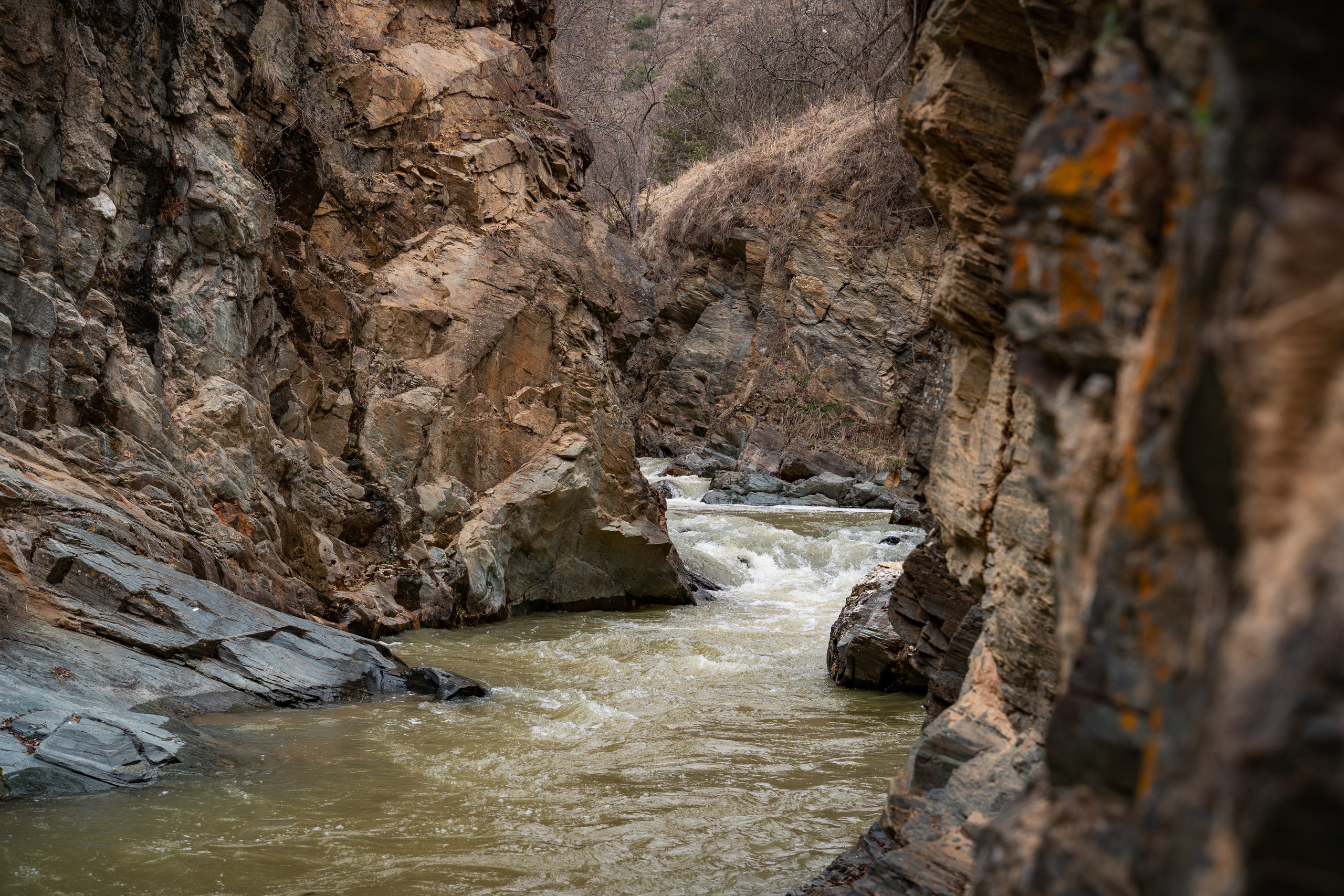 Пейзажи. Выпускные фотоальбомы Фотограф в Москве Устинович Алена
