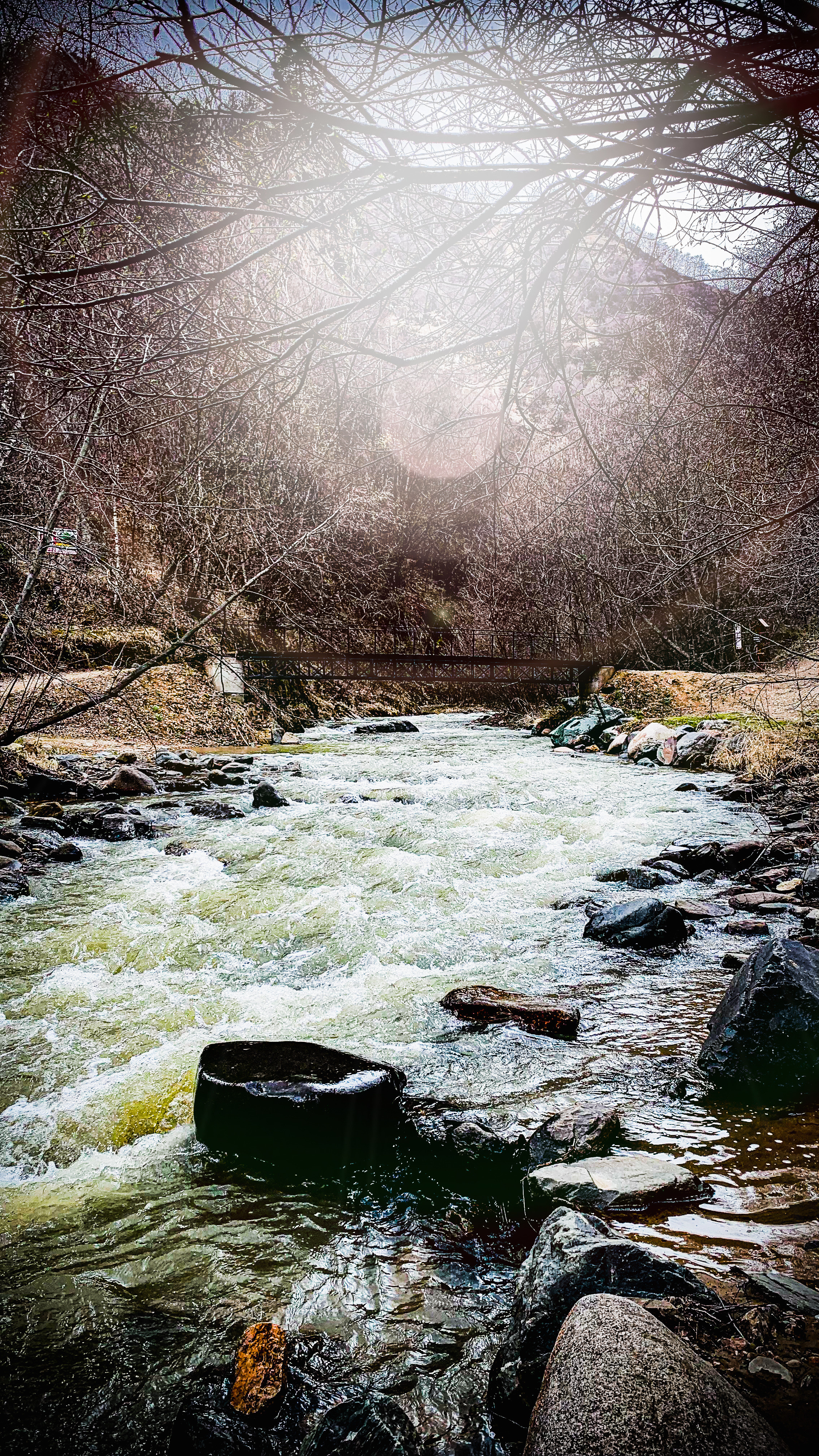 Пейзажи. Выпускные фотоальбомы Фотограф в Москве Устинович Алена