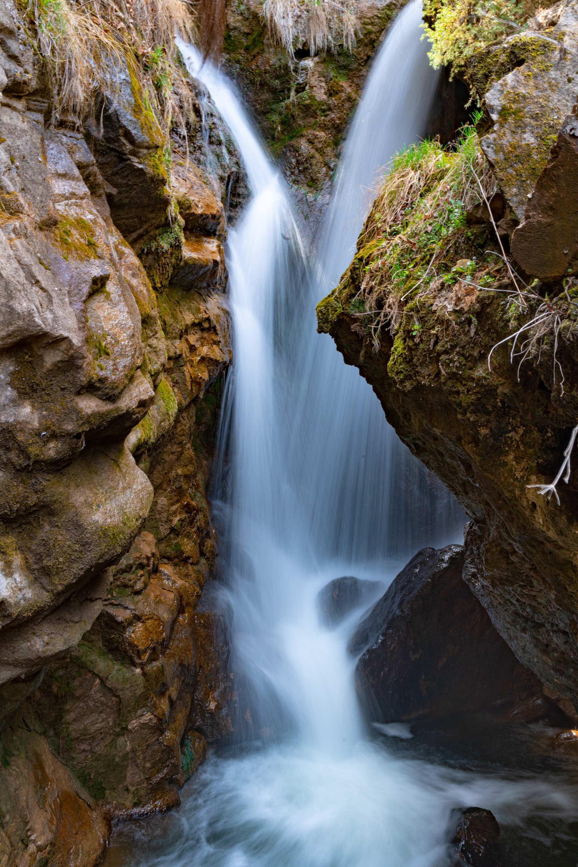 Пейзажи. Выпускные фотоальбомы Фотограф в Москве Устинович Алена