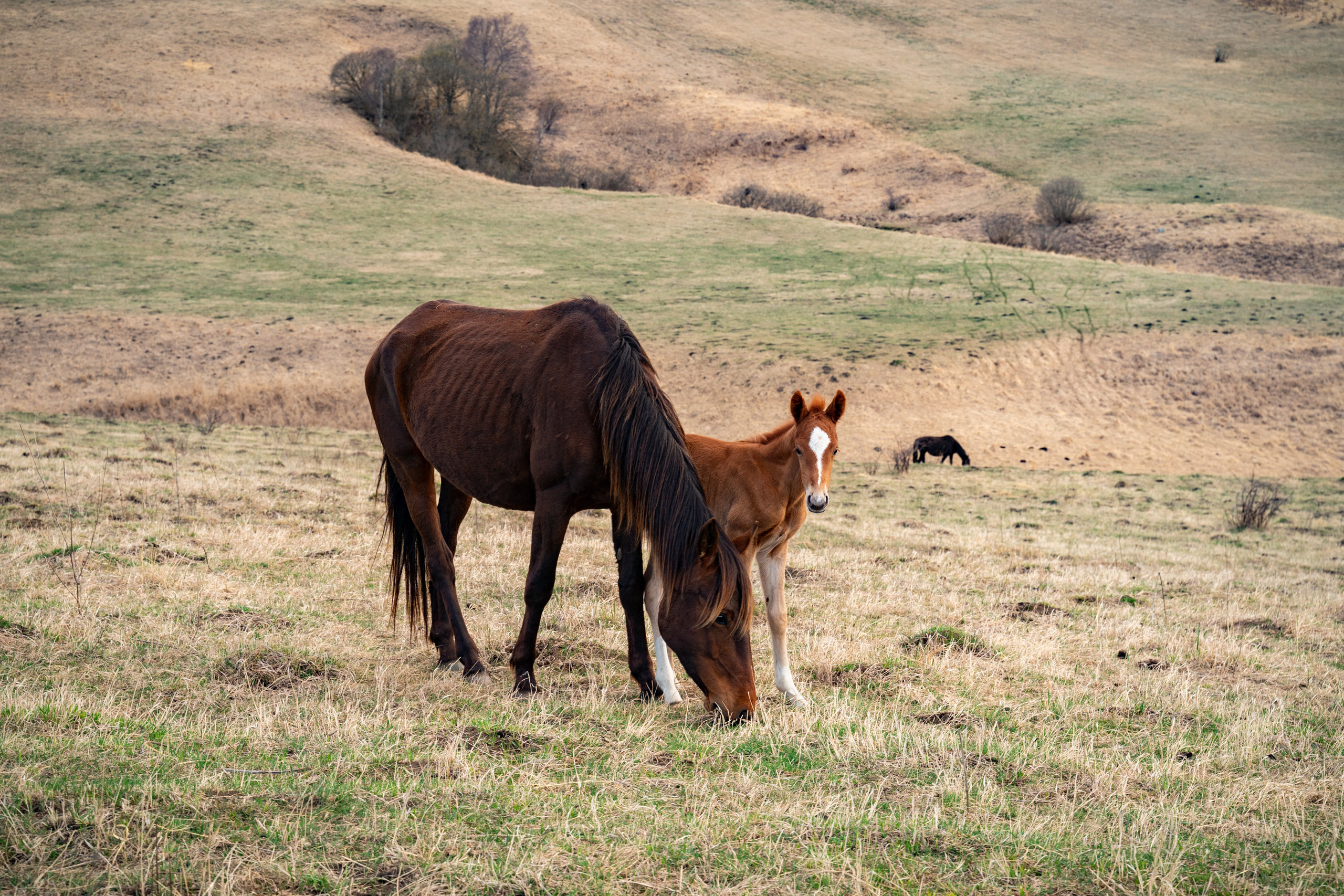 Пейзажи. Выпускные фотоальбомы Фотограф в Москве Устинович Алена
