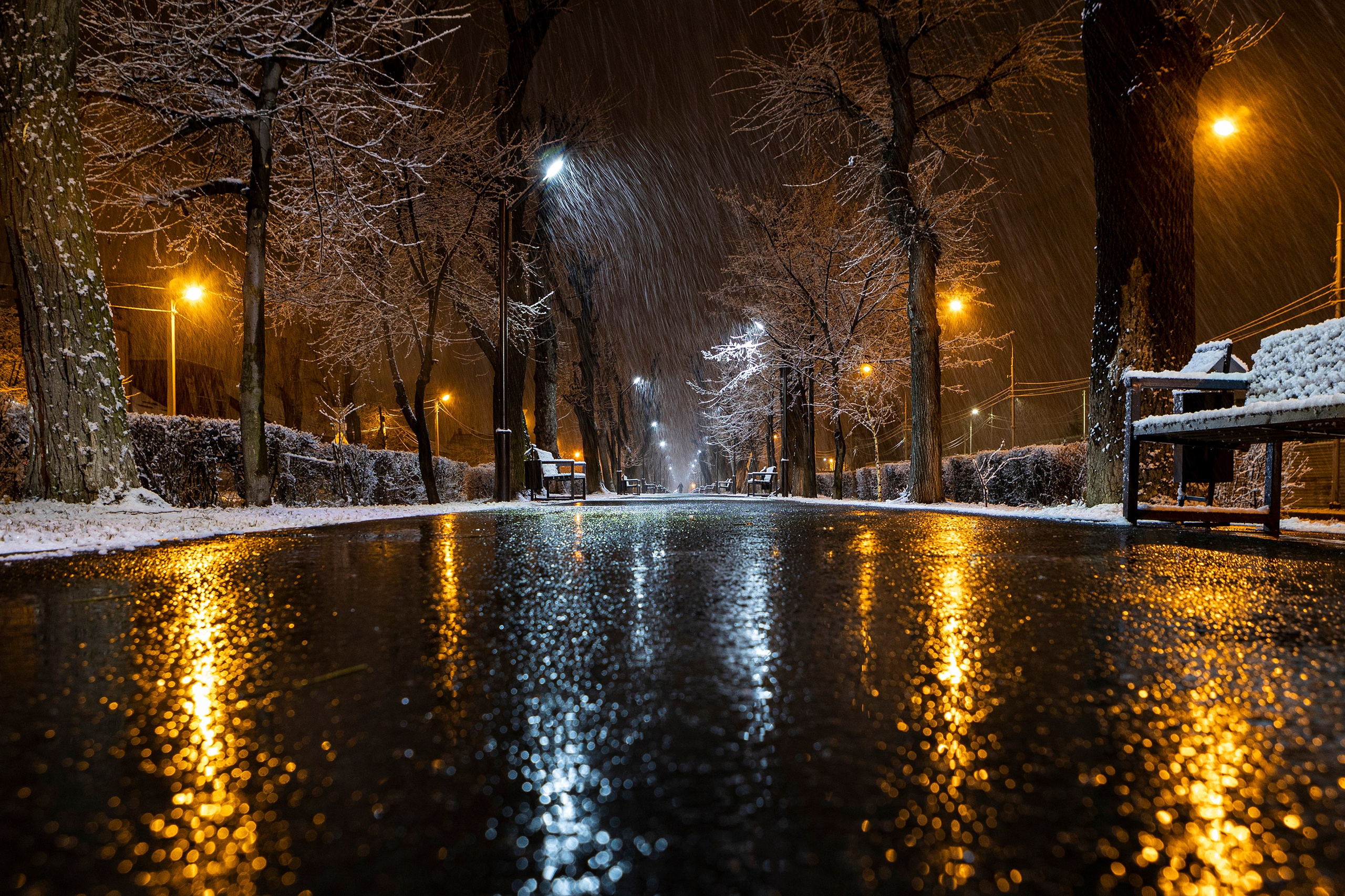 Фотография — это воспоминания…