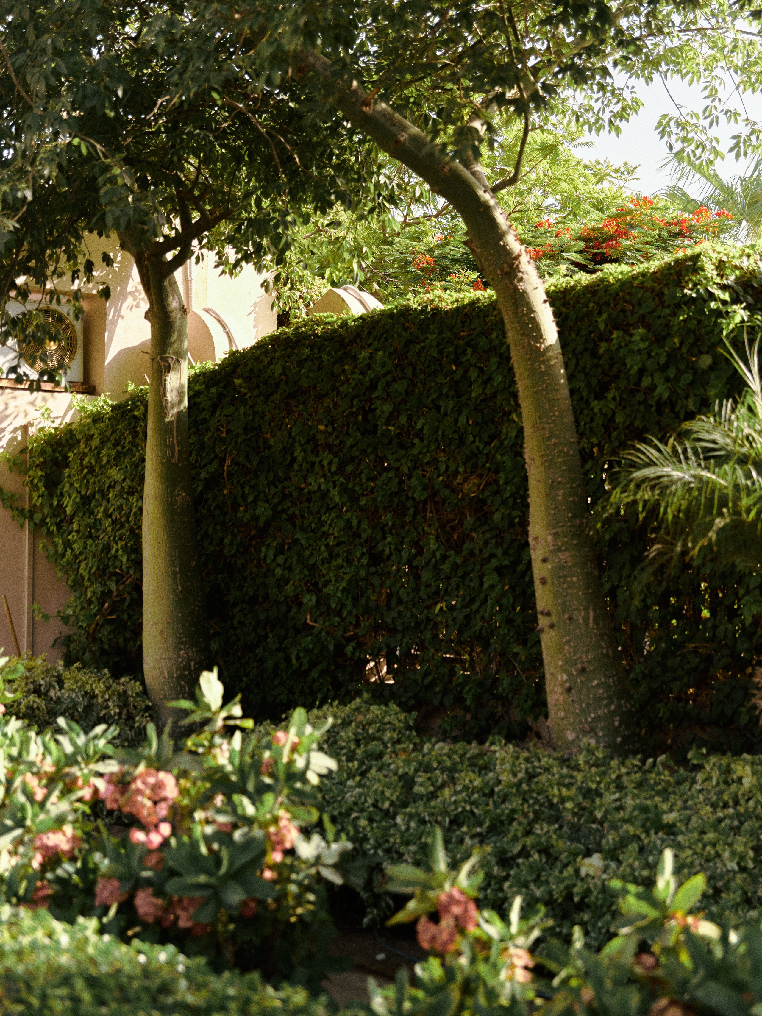 Природа сквозь. Jorgis Talè — photographer, kind person, teacher of arts and other mag