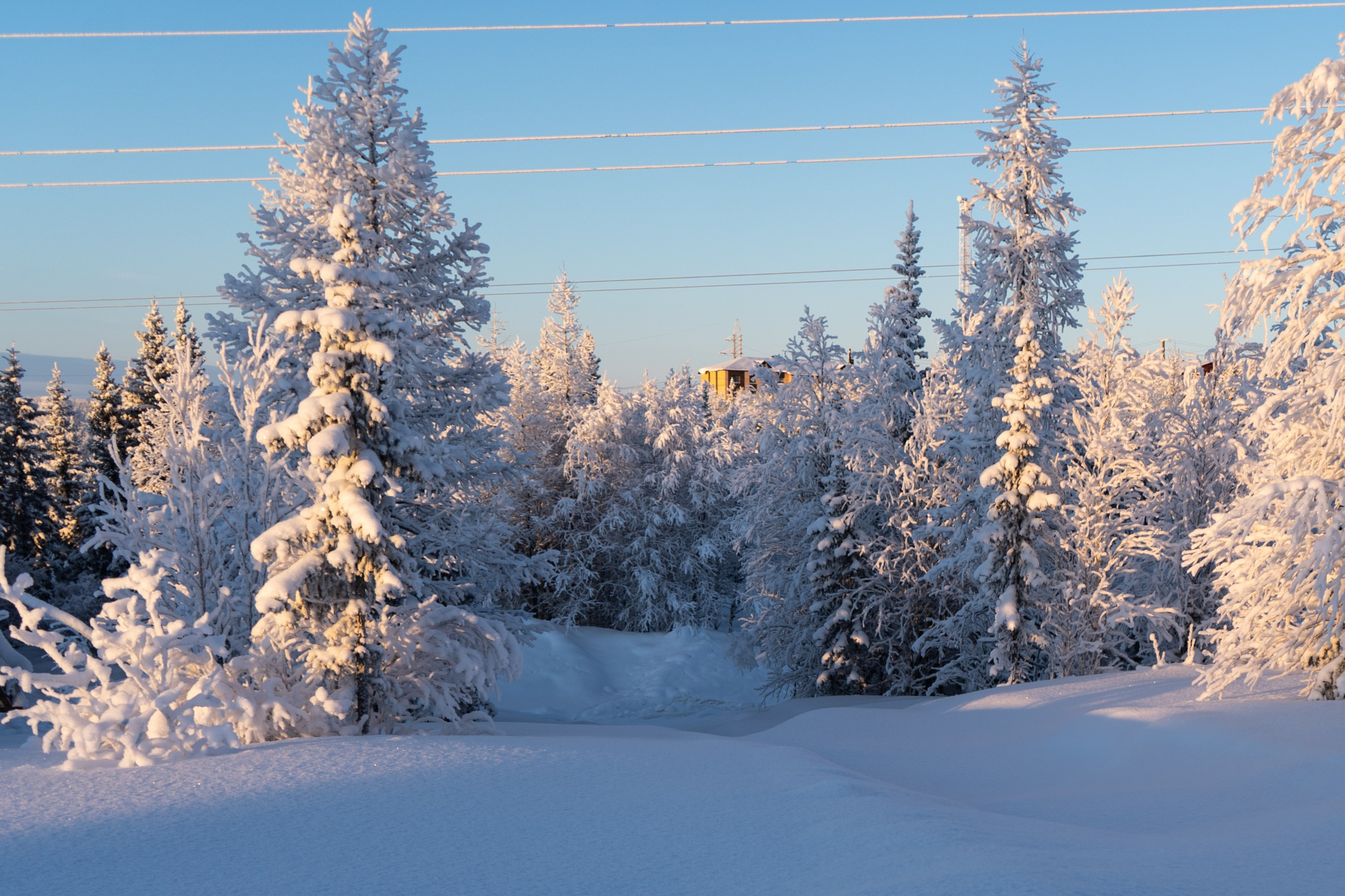 Зима. Фотограф Екатерина Зорина
