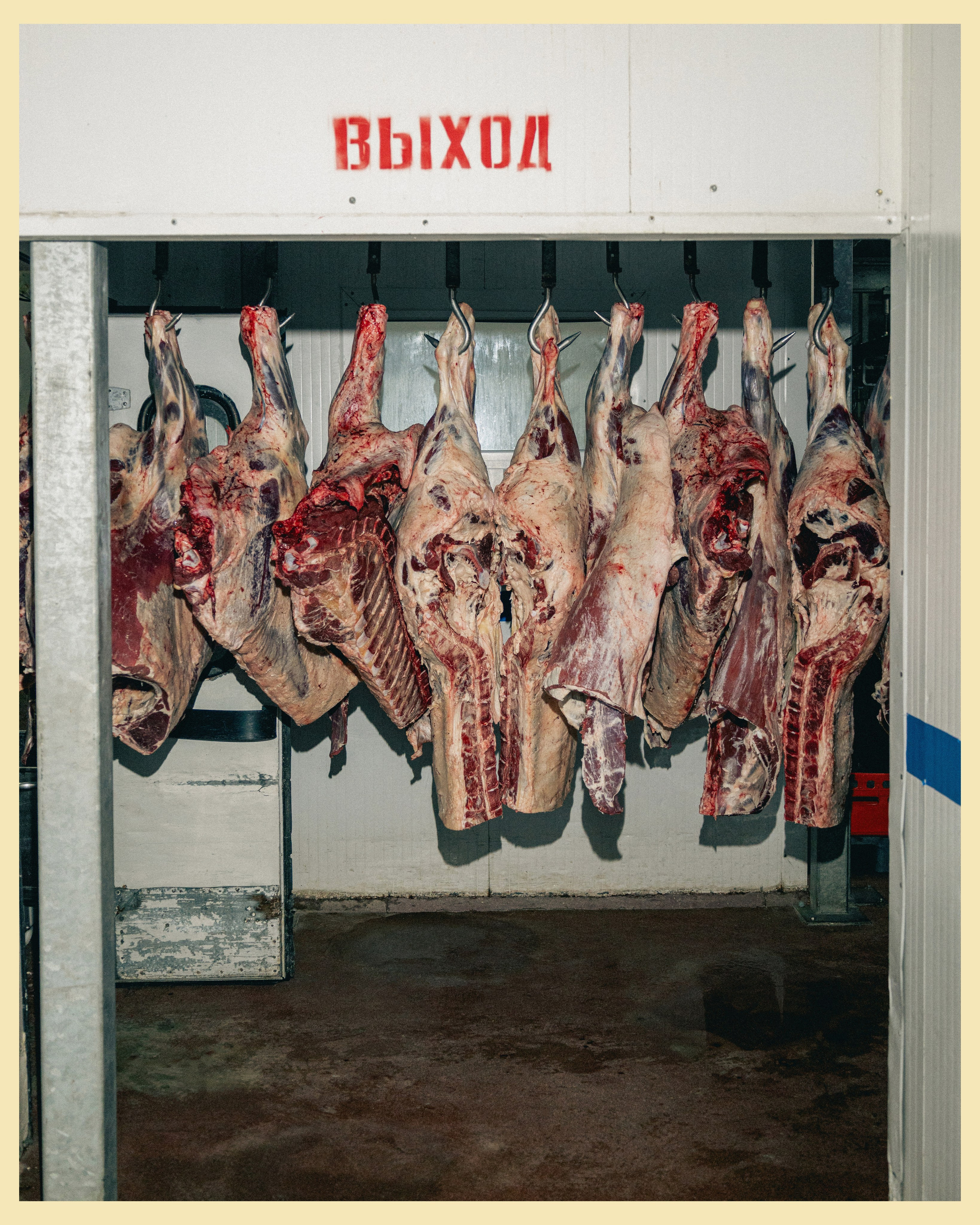 HBP x VANO. Ivan Petrov photographer