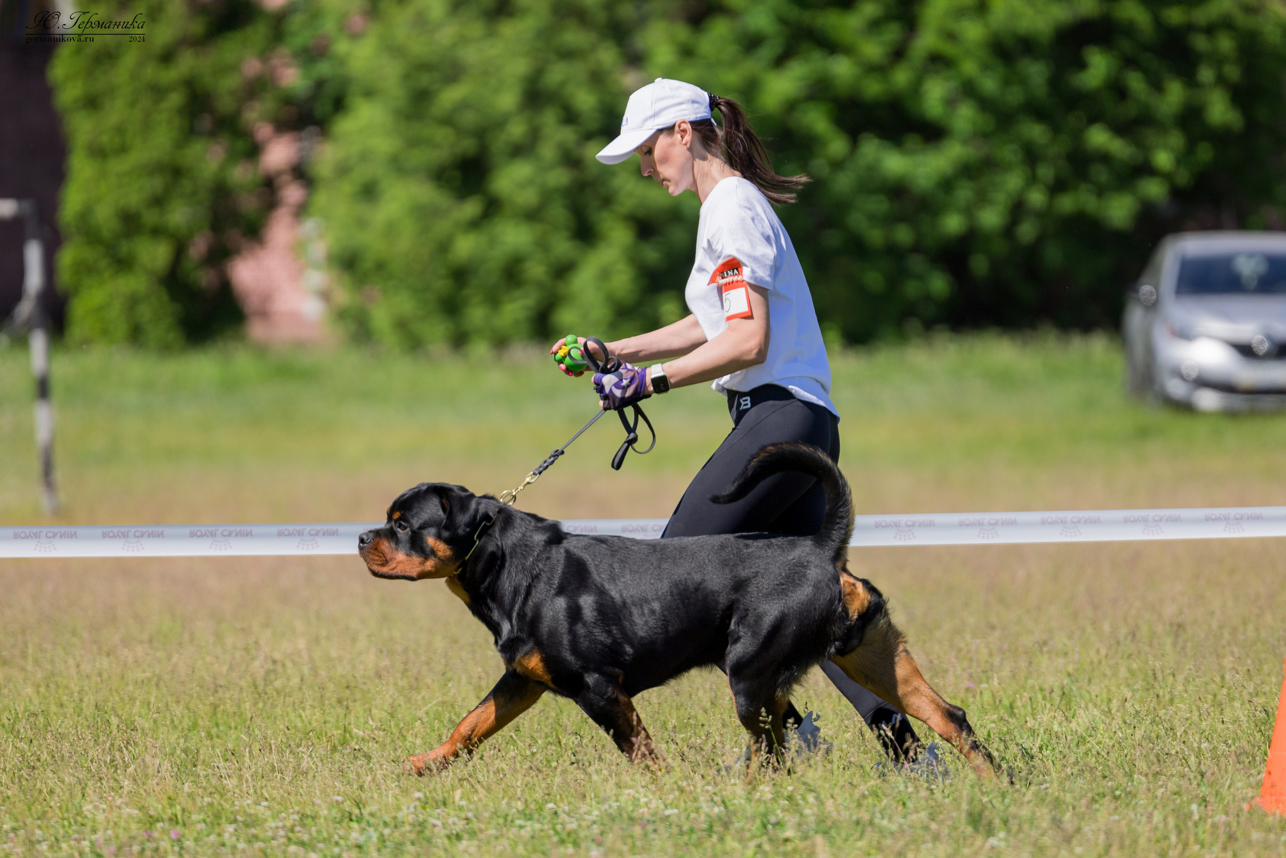 Воронеж моно ротвейлеров 25-26.05.2024. Фотограф-анималист Юлия Германика