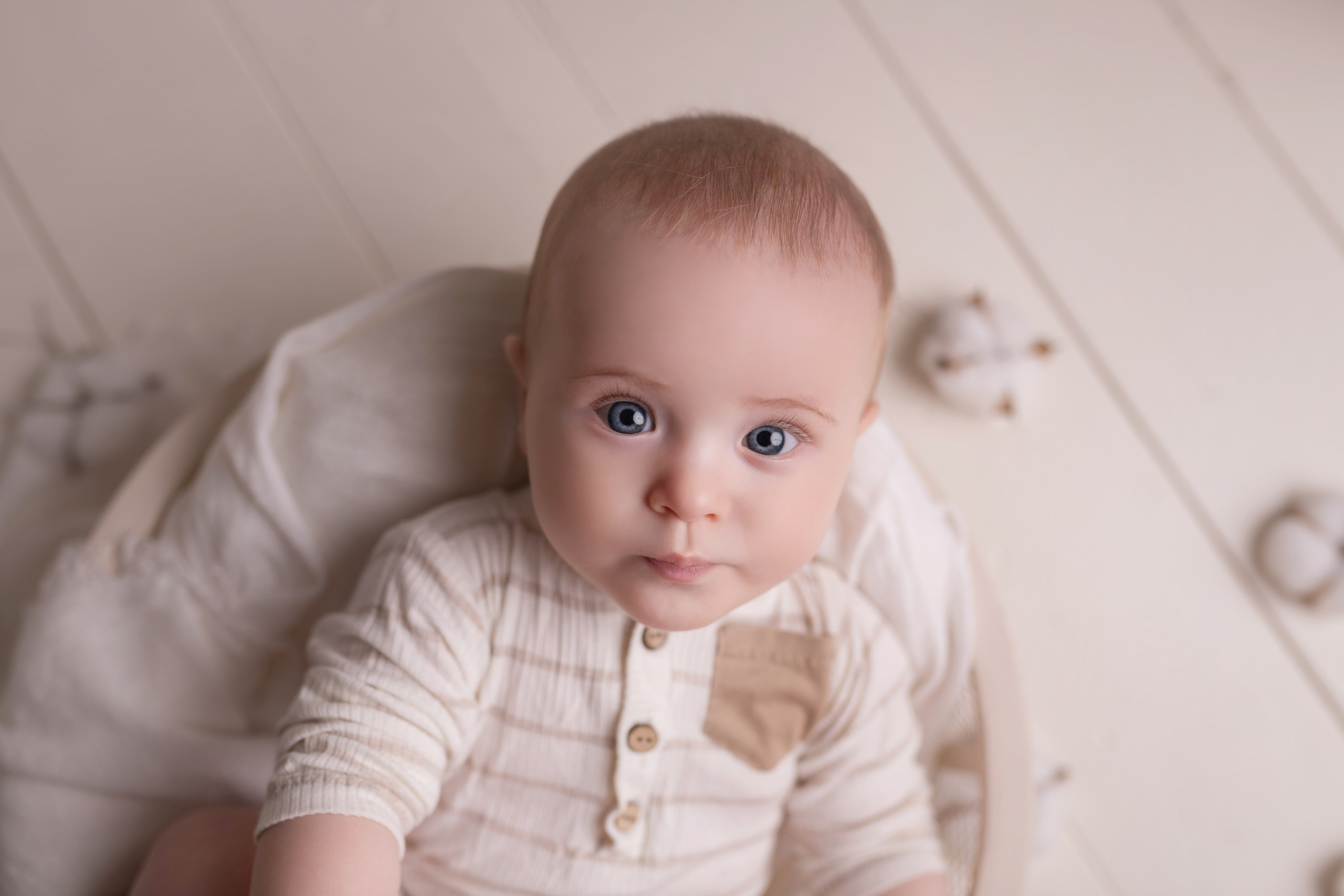 Лев. Кобякова Мария. Фотограф новорождённых и детей до года город ИРКУТСК