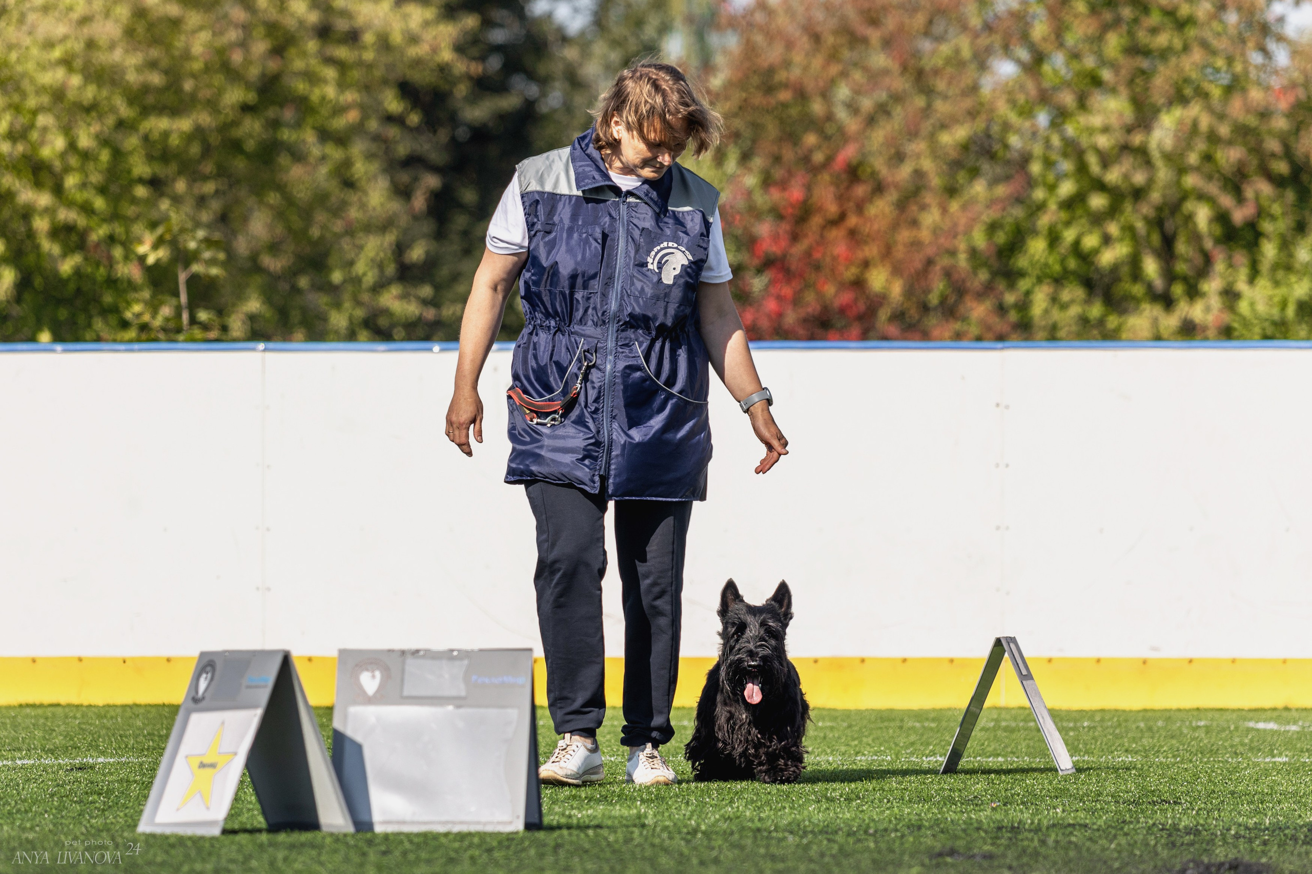 Ралли обидиенс. Фотограф анималист Аня Ливанова | Рыбинск