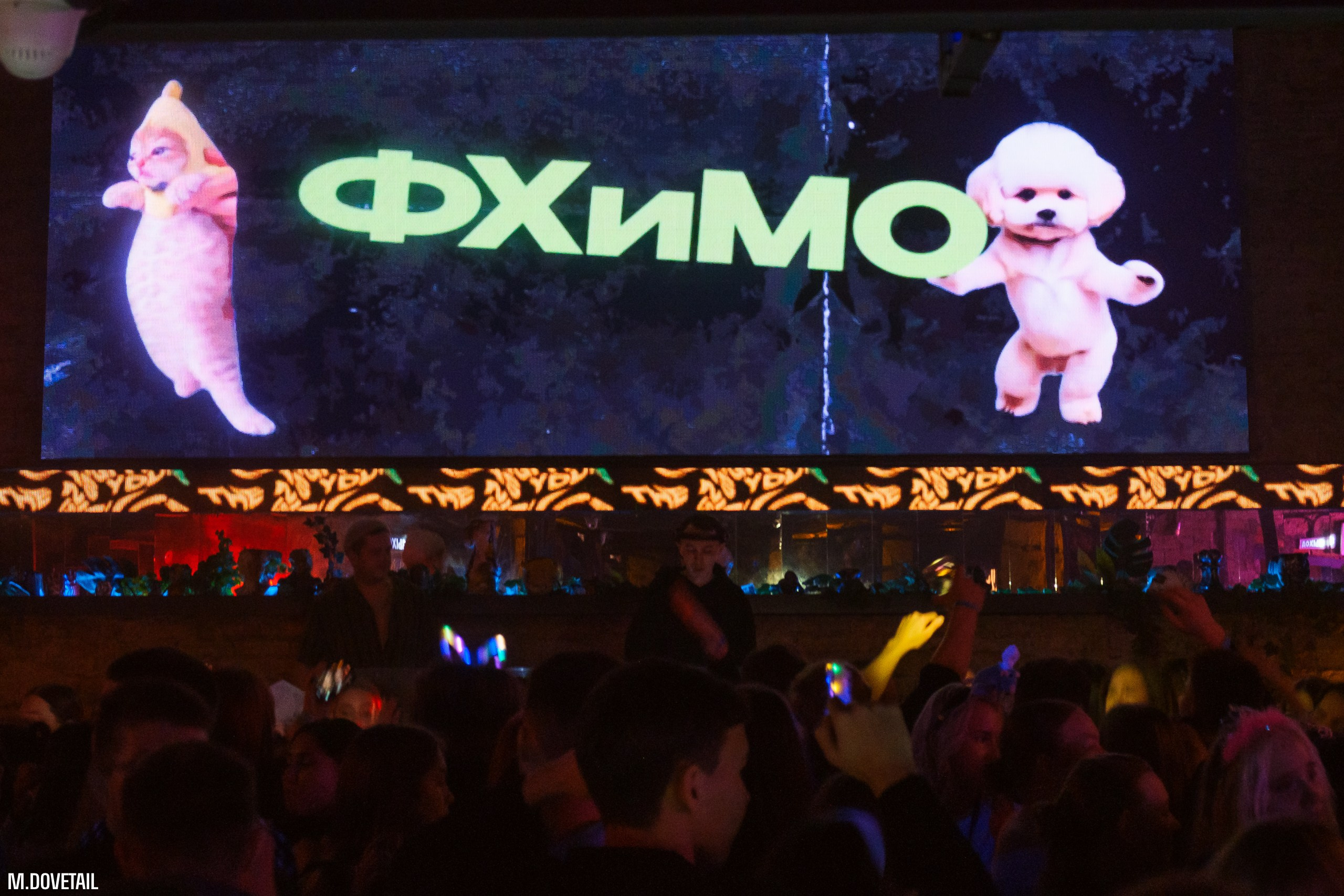 ПОСВЯТ ЧГПУ 2024 | MEMES PARTY. Mike Dovetail | Портретный и репортажный фотограф