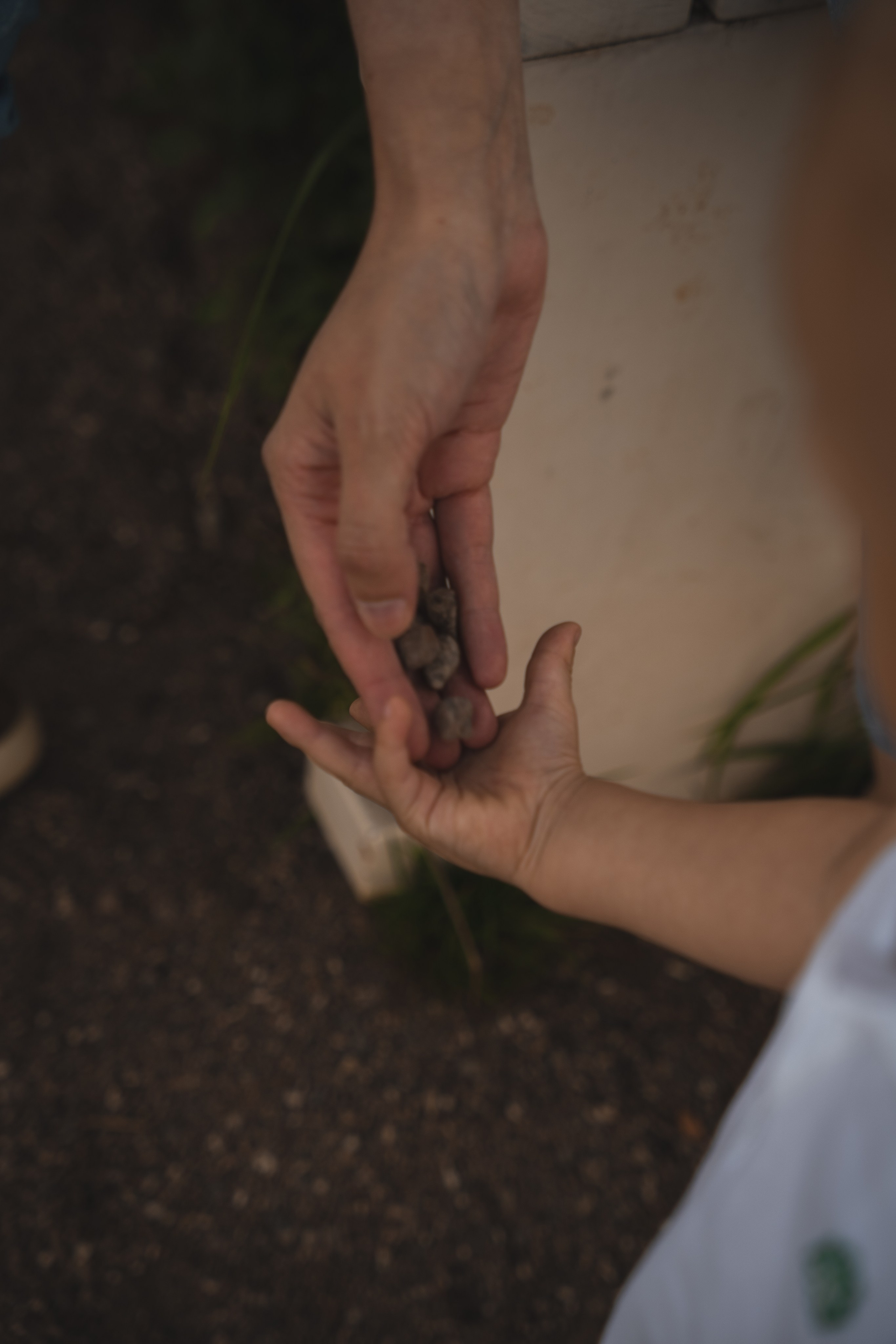 Семья Скворцовых. Фотограф в Ульяновске Александра Григоровских