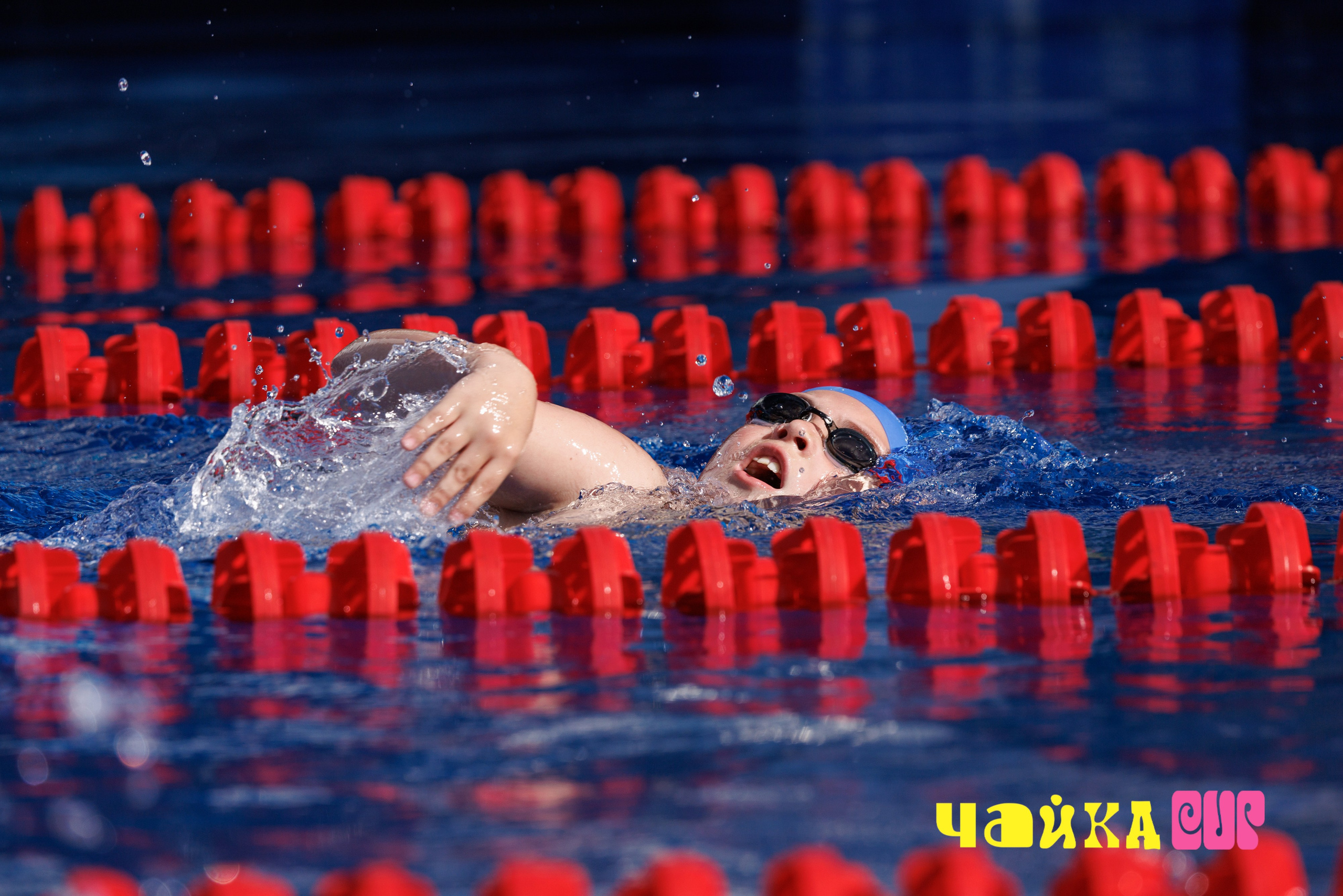 Чайка Cup / III этап. Спортивный фотограф Алексей Соломин