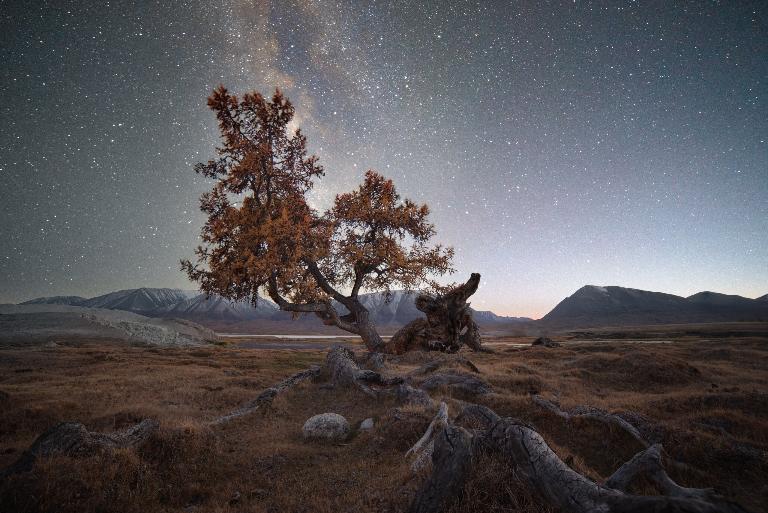 Монголия. Фотограф в Красноярске Нерозя Александр. Пейзаж, природа, портрет