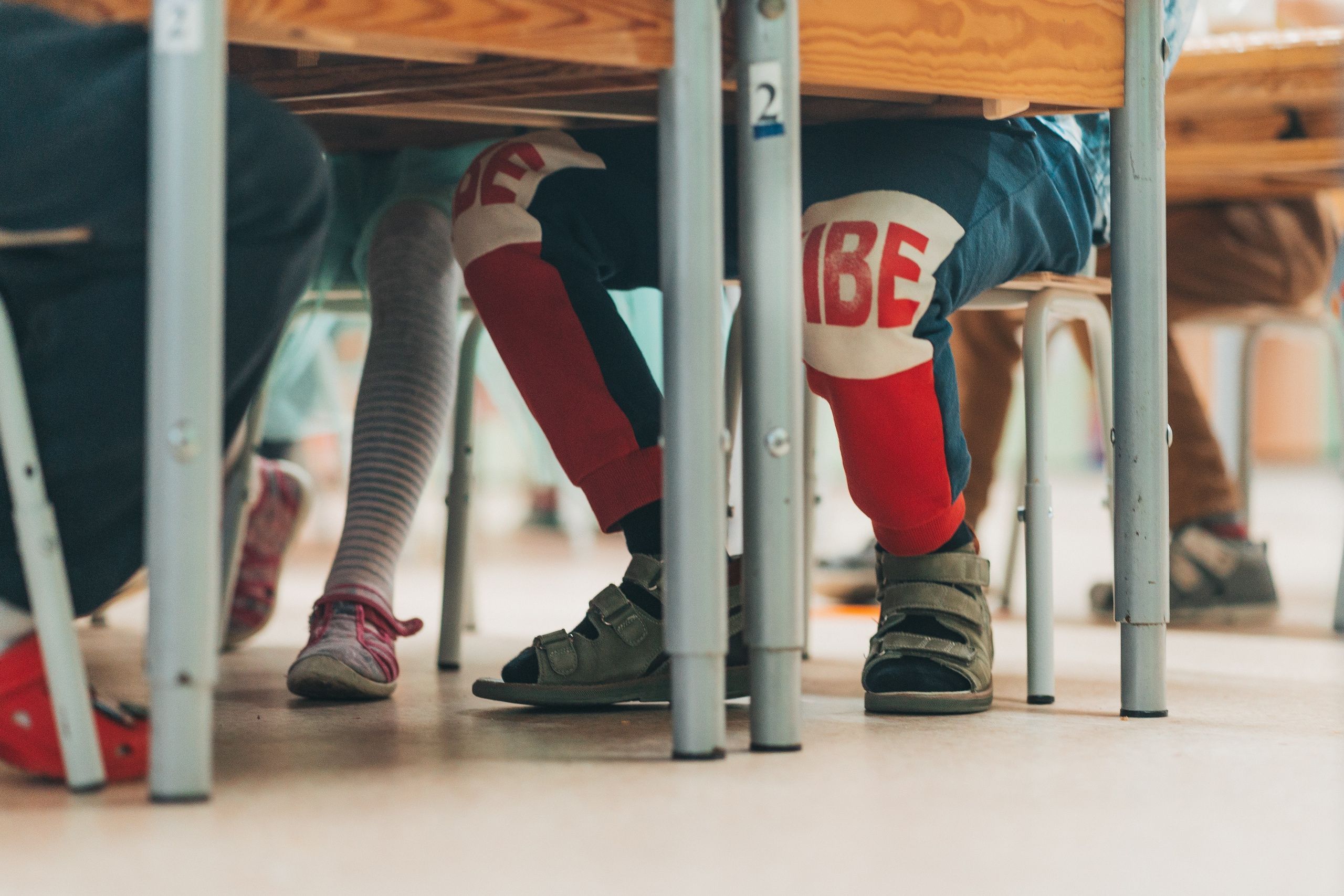 Сад1. Школьные альбомы и альбомы для детского сада. Юлия Осипова. Москва