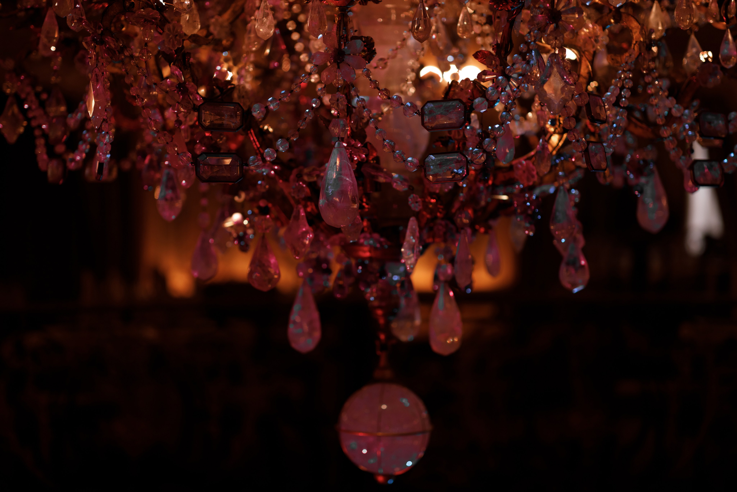 NIKITA & POLINA. Свадебный фотограф в Туле и Москве