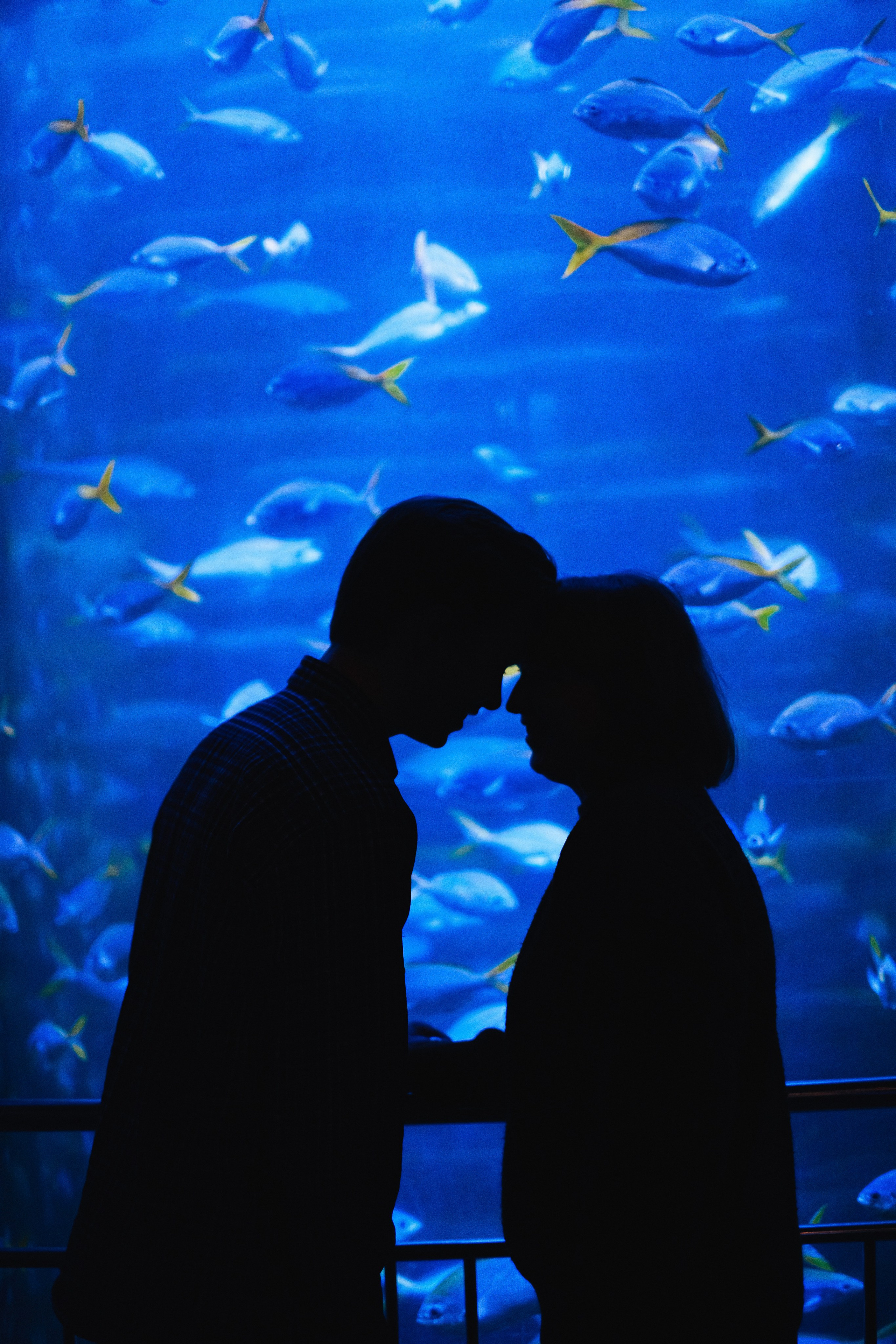 Океанариум. Фотограф Благовещенска Яна