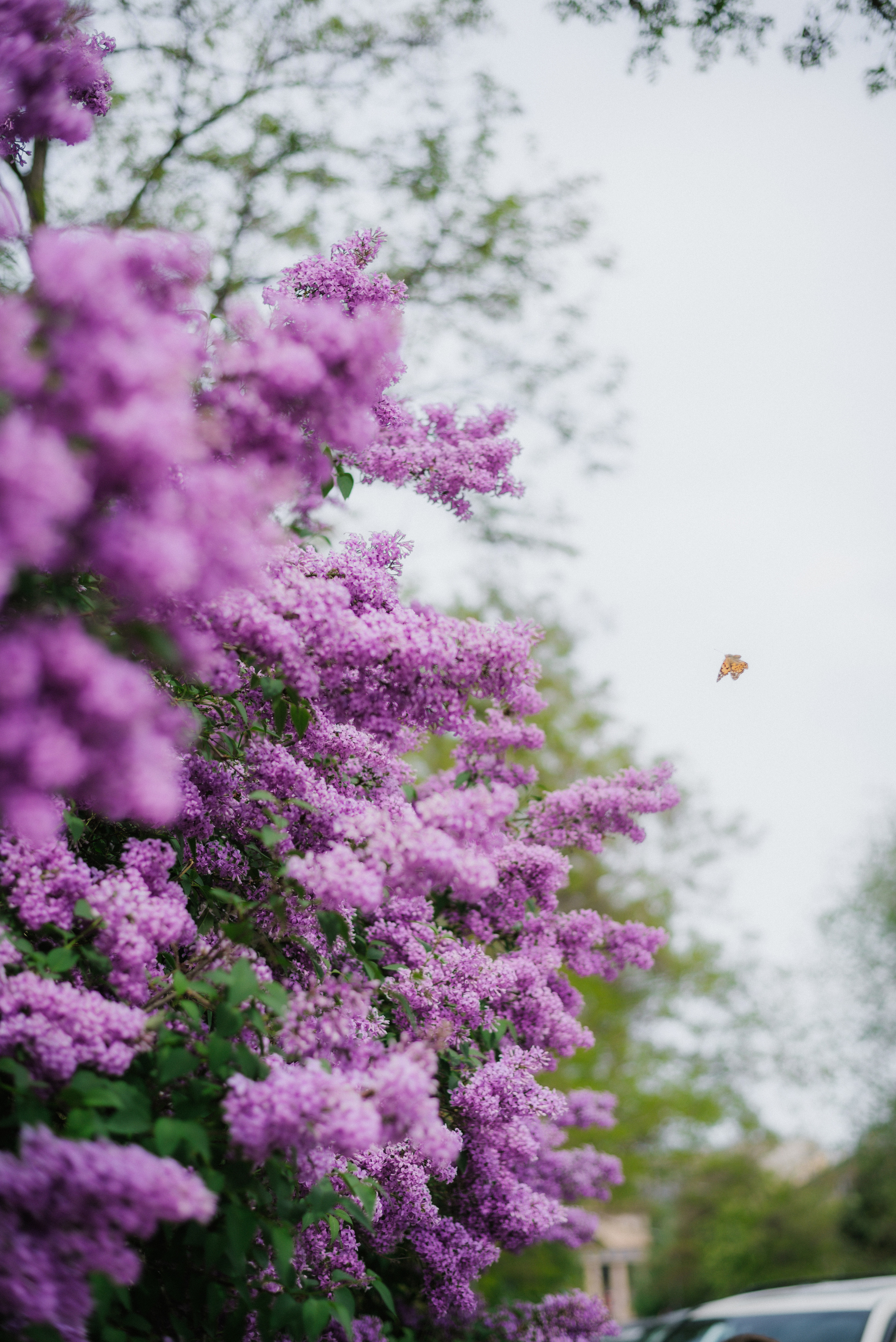 Ксения и Артём. Свадебная прогулка. Свадебный и семейный фотограф Волгоград Анастасия Садовникова