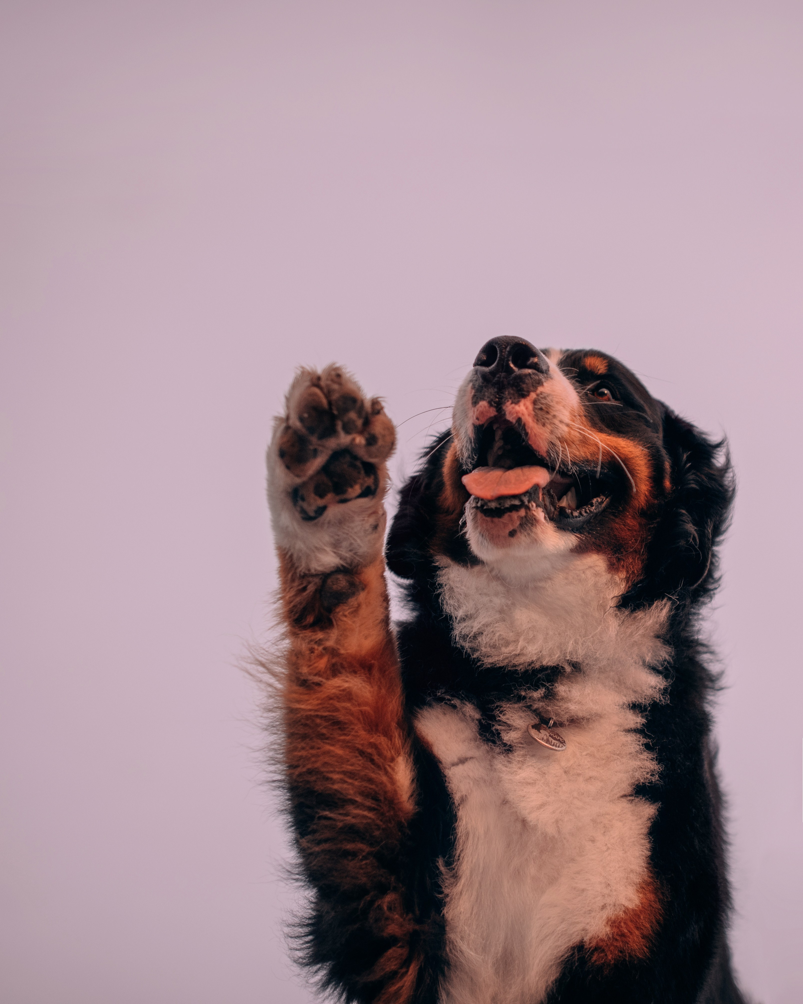 Владивосток: Марс и Маша. Портфолио