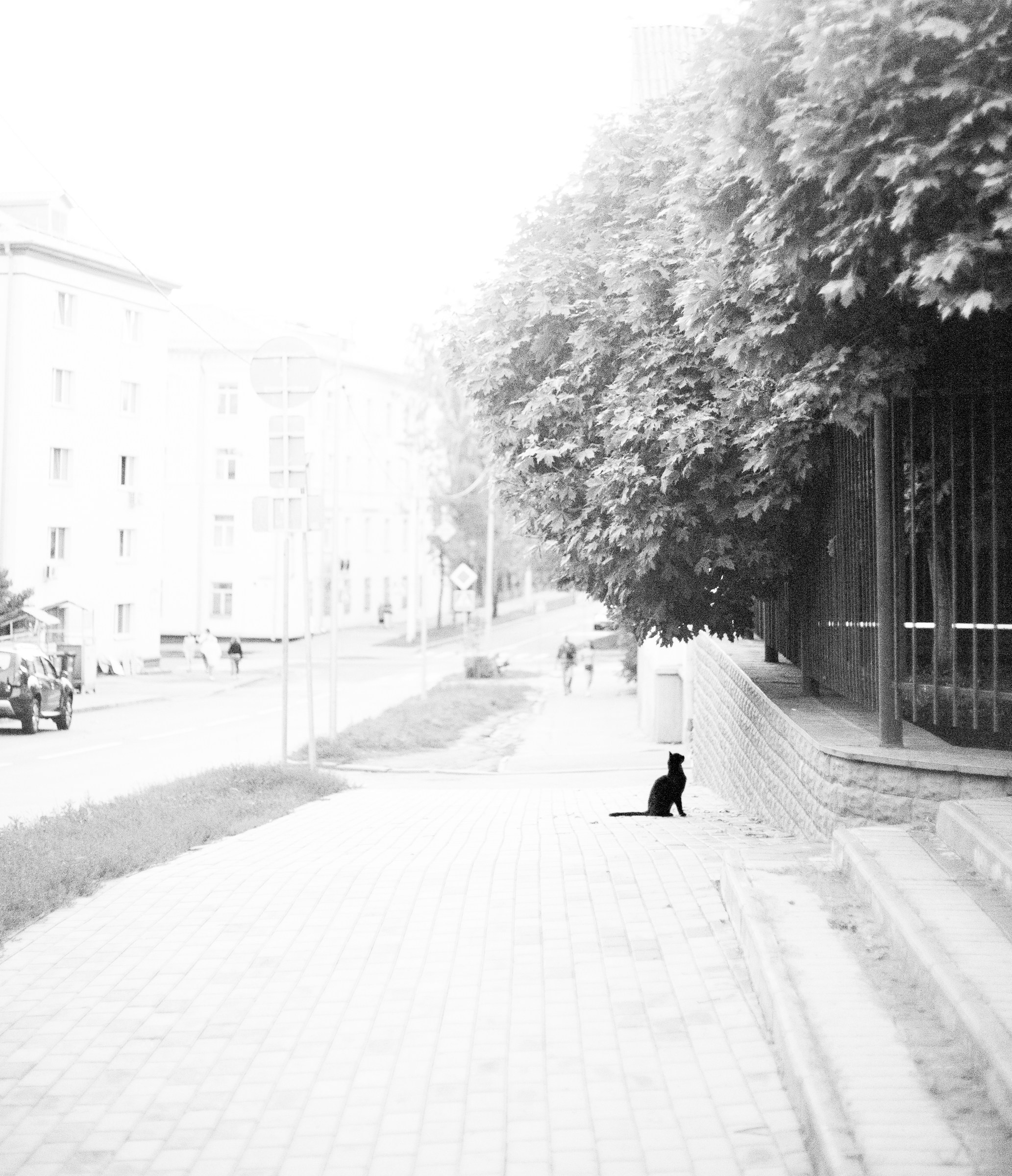 Minsk. Street photographer Ksenya Loboda