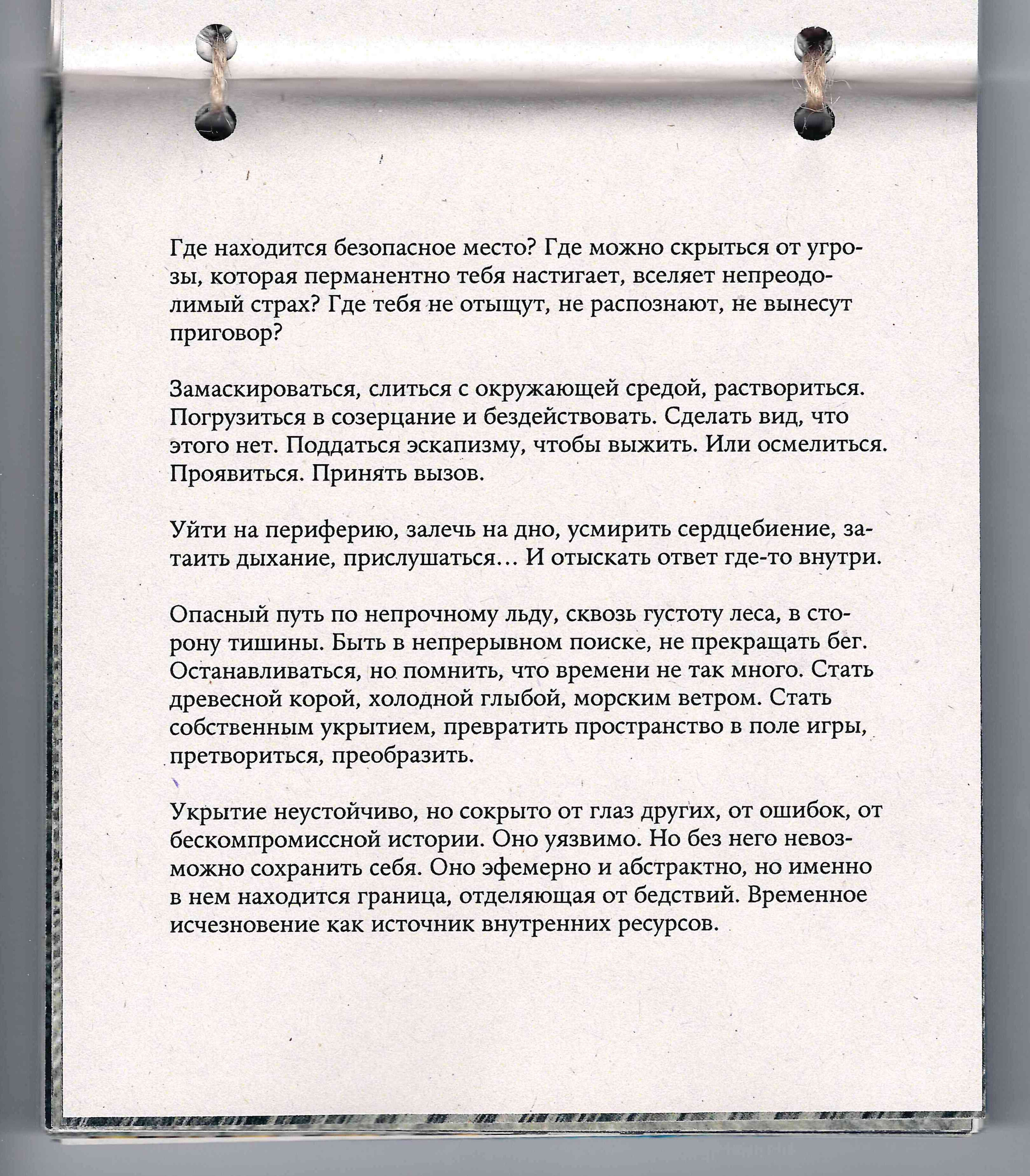Укрытие. Катерина Эделева