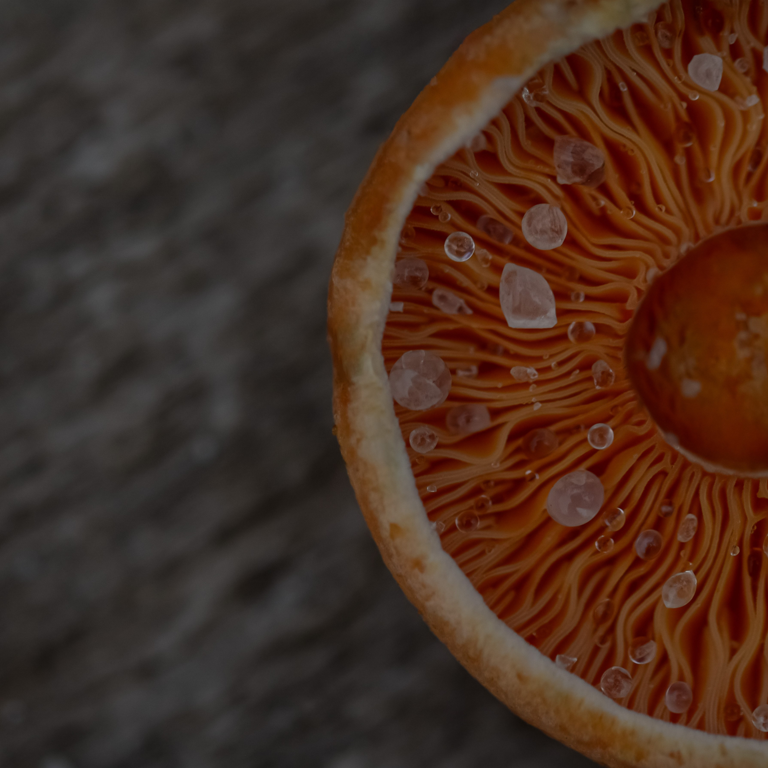 Еда. ПРУДМЕТНАЯ И ФУД СЪЕМКА