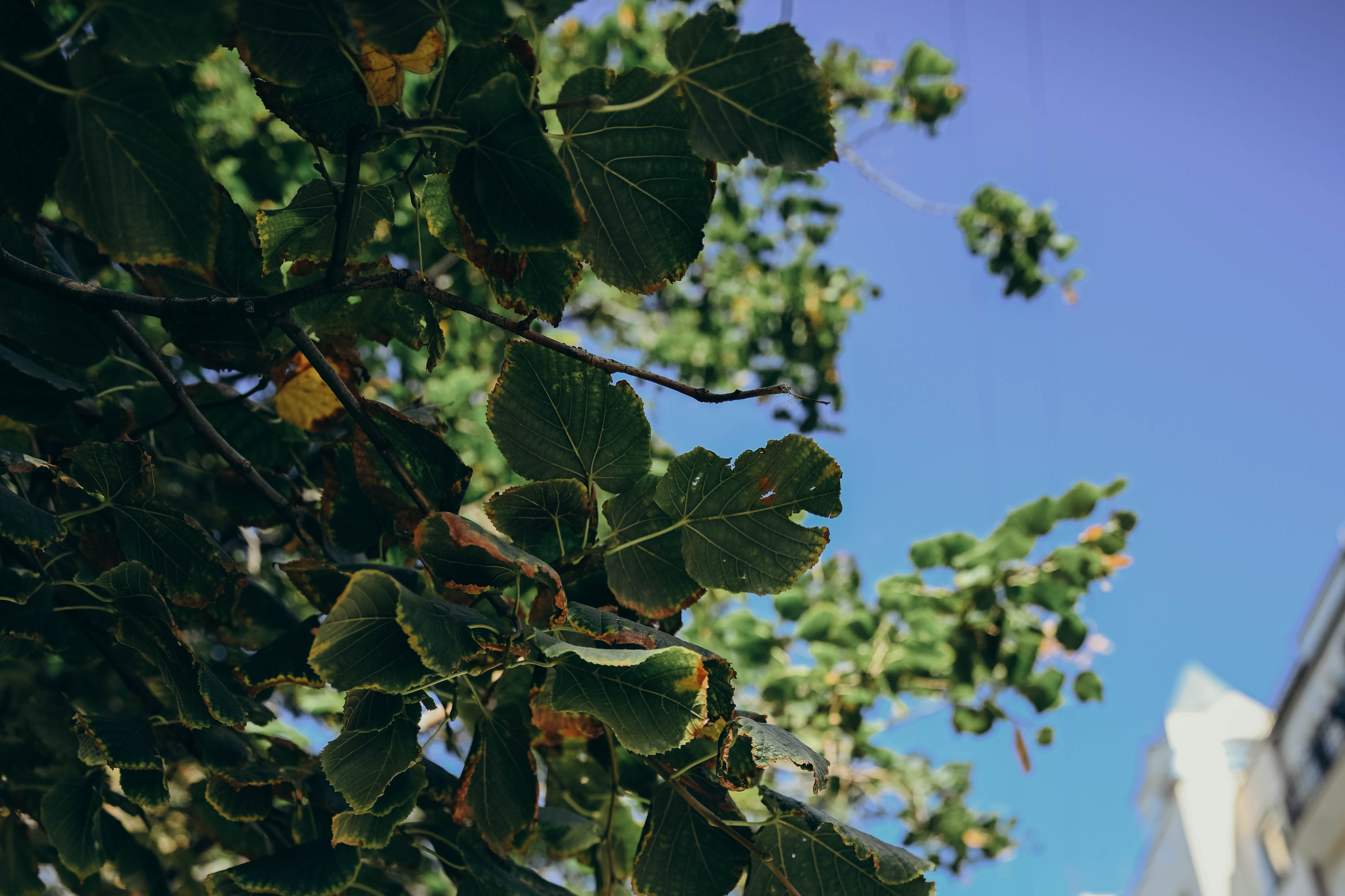 Женя прогулка. Семейный фотограф в Москве Люберцах Ирина Вронская