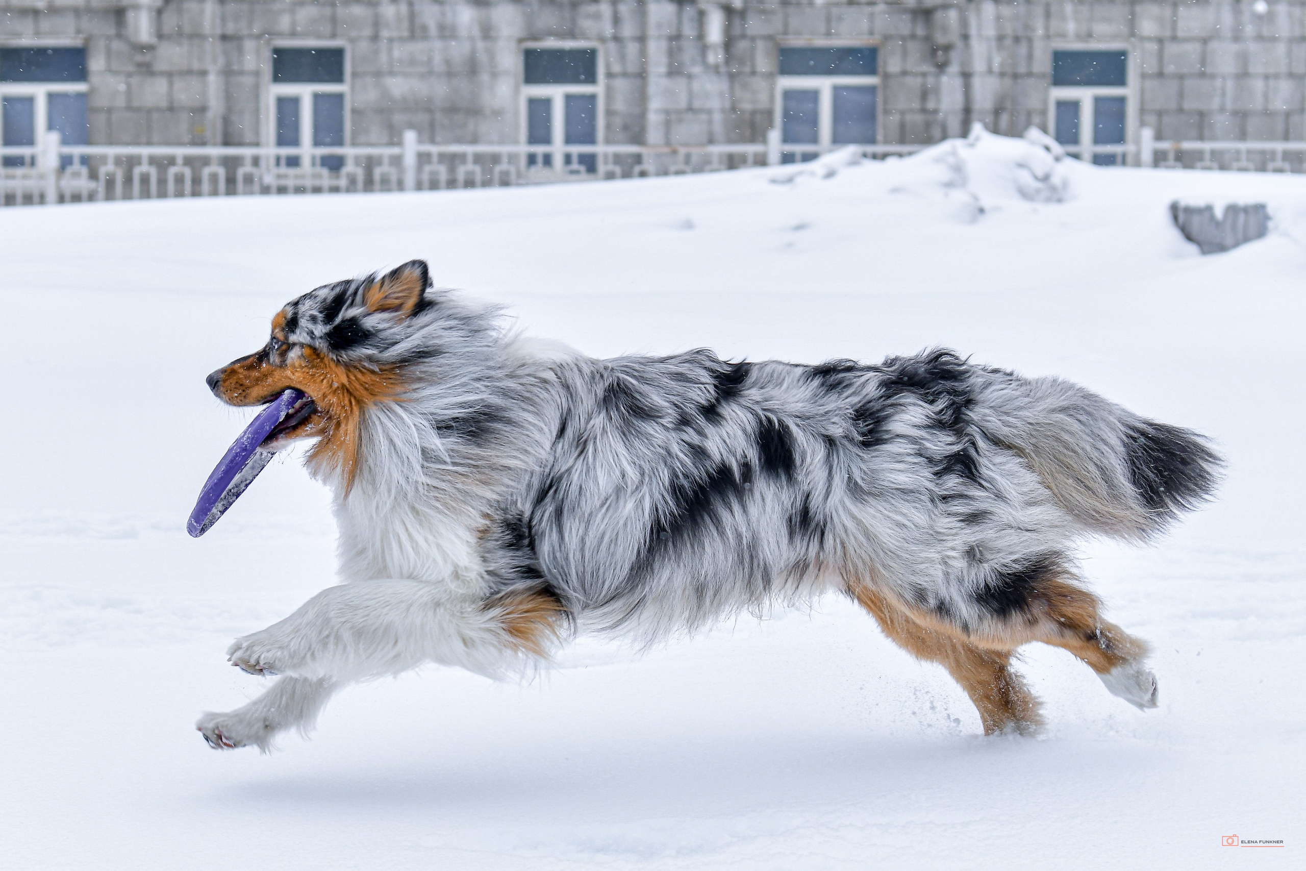 Зима. Свой взгляд через объектив