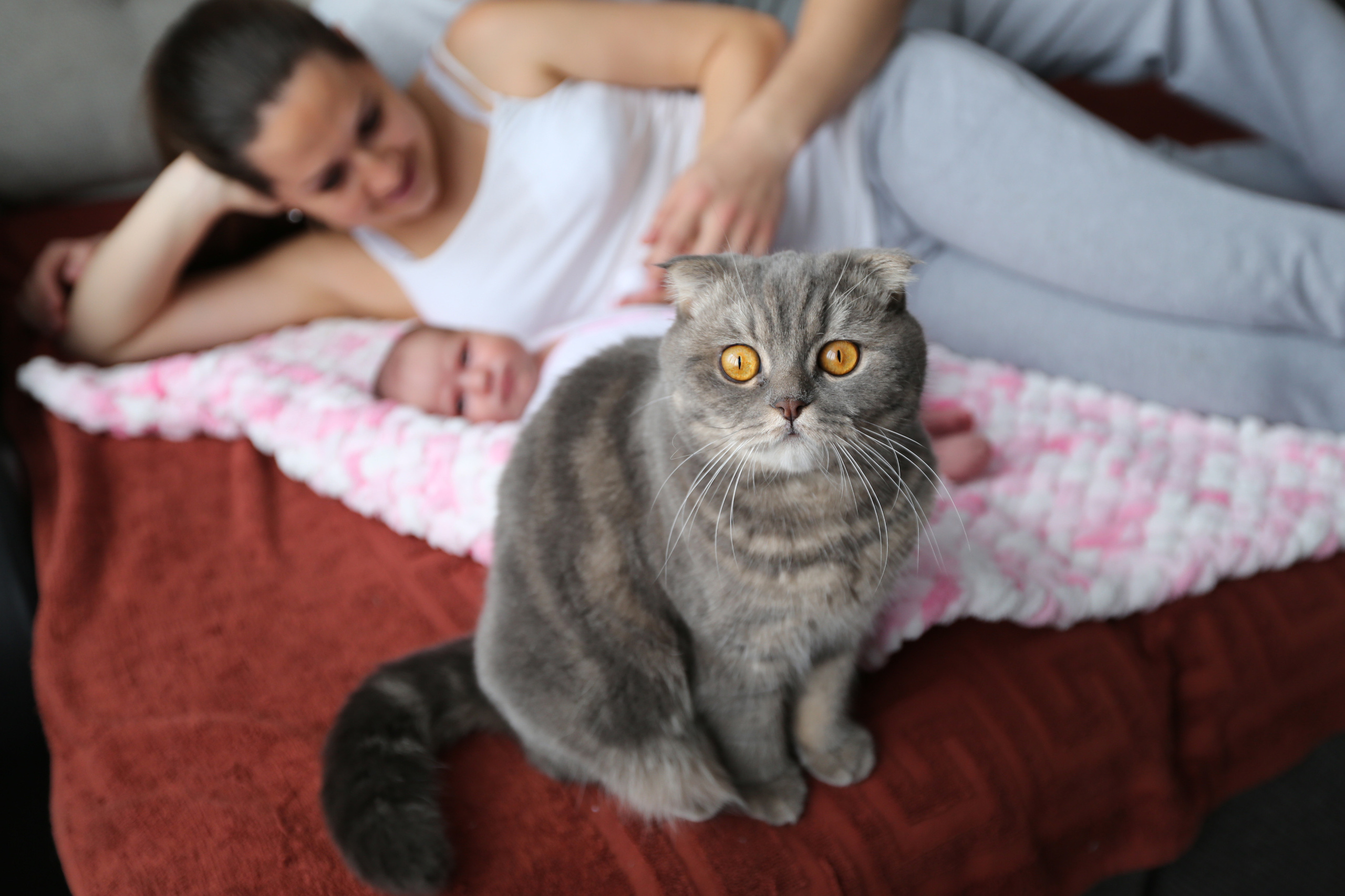 Домашняя фотосессия. Семейный и детский фотограф в Стерлитамаке Разина Рахмангулова