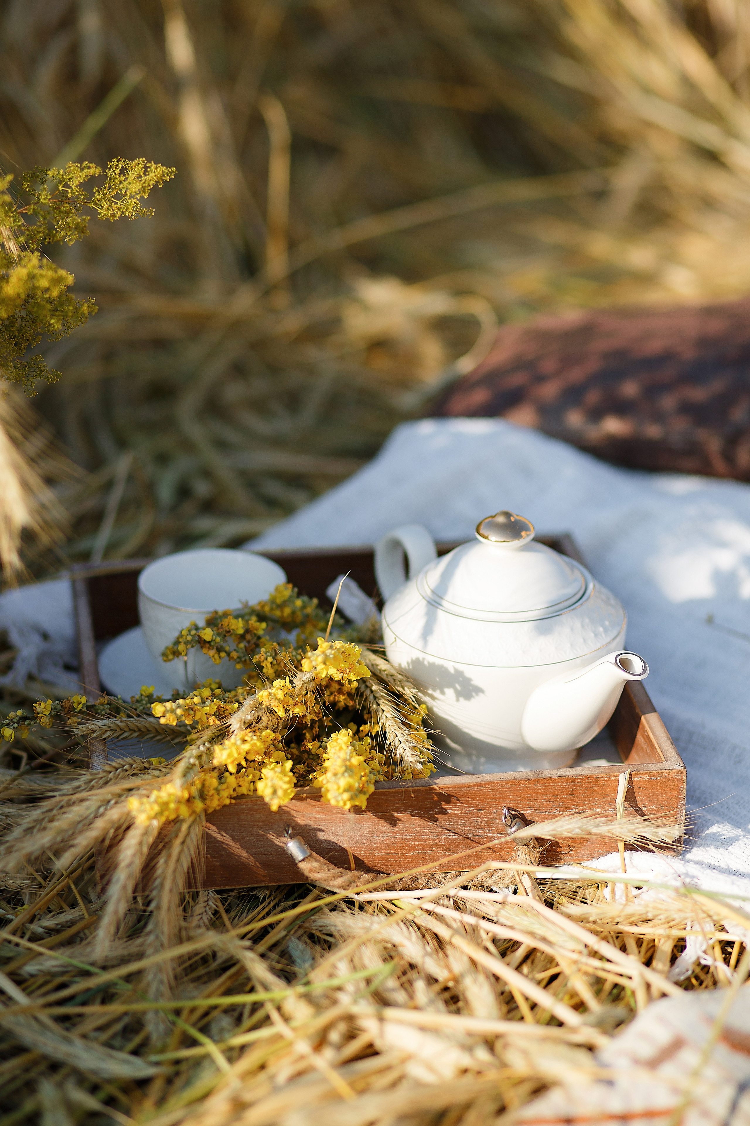 Фотосессия в стиле бохо на природе. Семейный и детский фотограф в Стерлитамаке Разина Рахмангулова