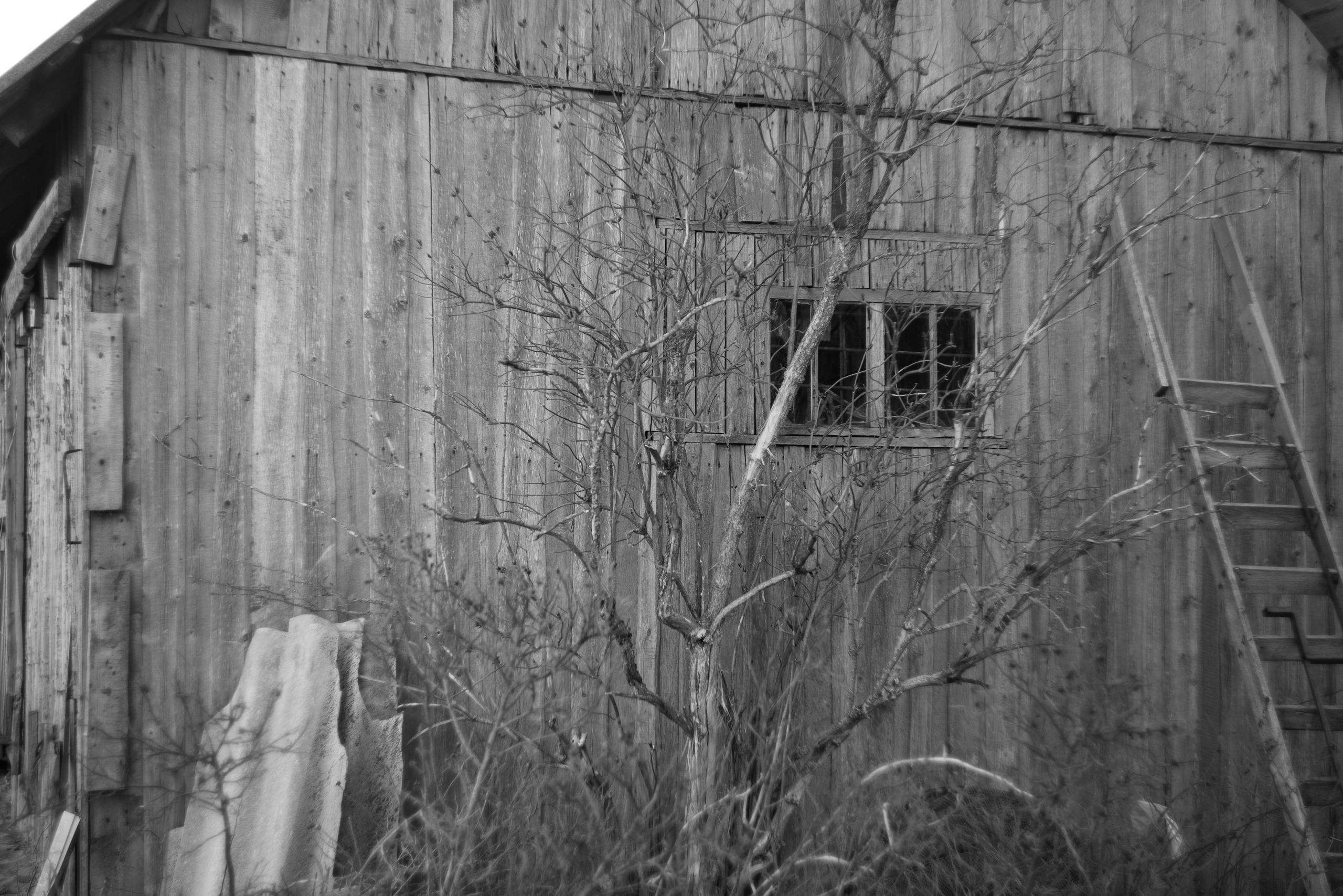 TINA & OLEG. Портретный фотограф в Санкт-Петербурге Ольга Муранова