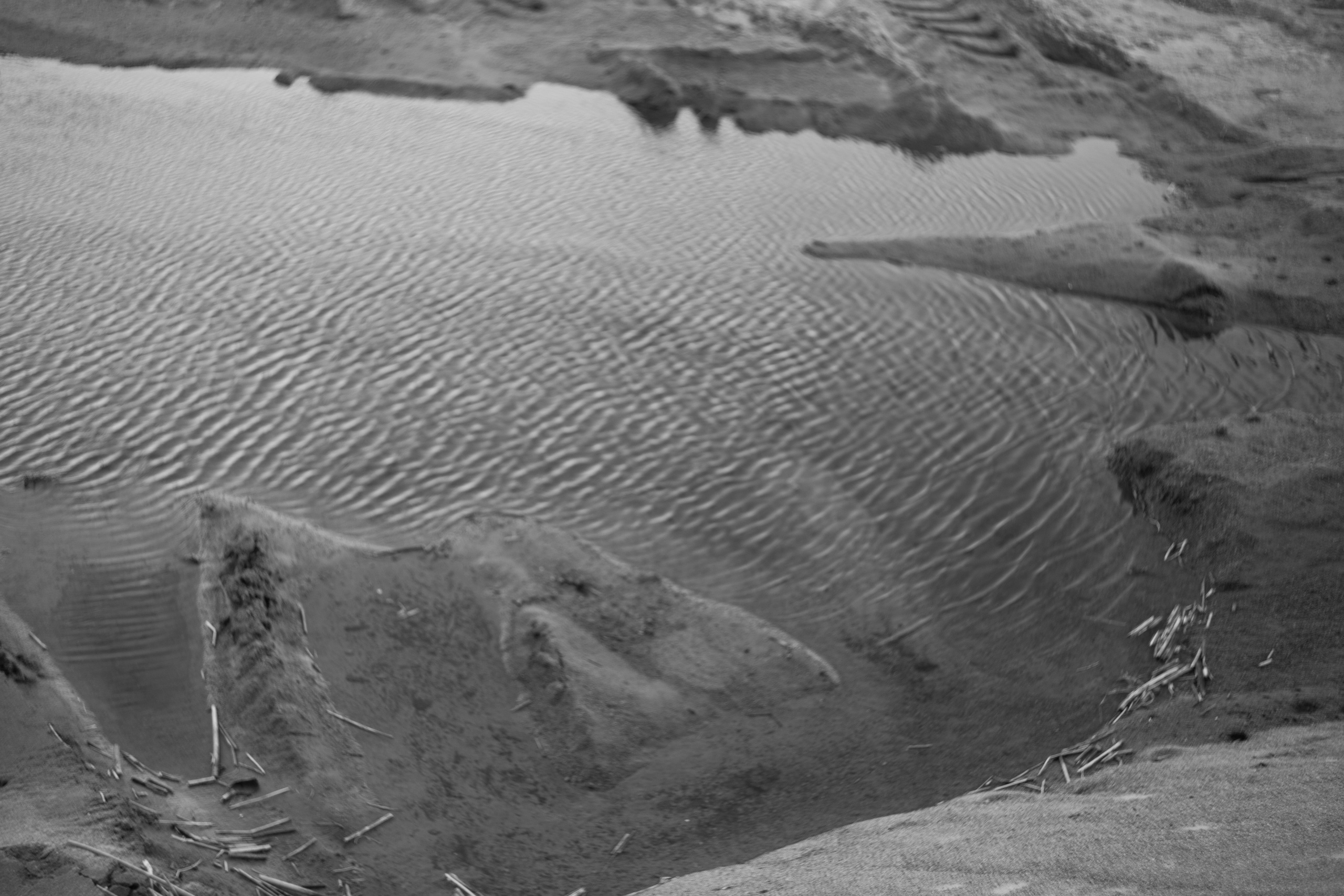 TINA & OLEG. Портретный фотограф в Санкт-Петербурге Ольга Муранова